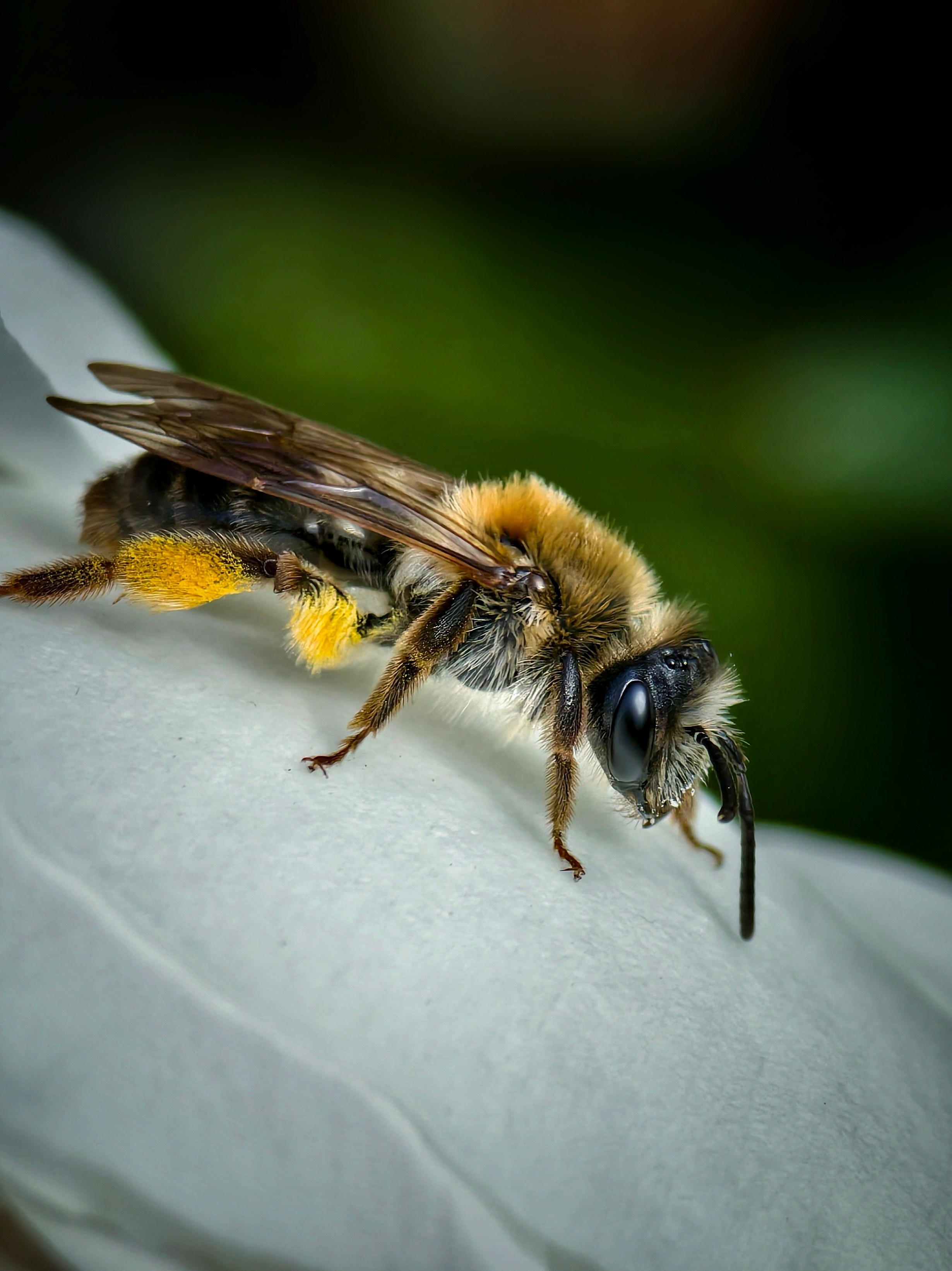 Большое в малом