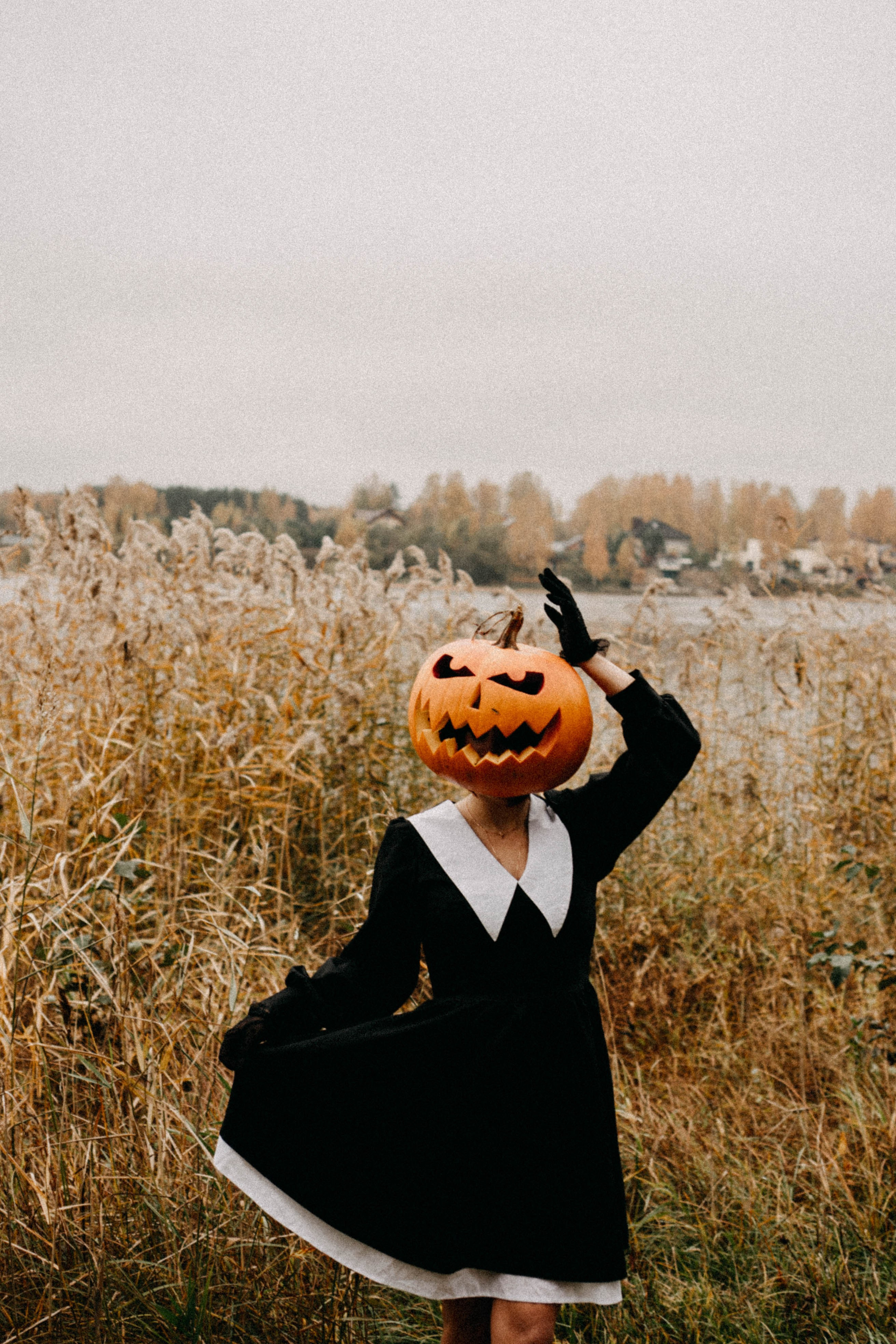 Осеняя. Профессиональный фотограф, Санкт-Петербург — Виктория Богомолова