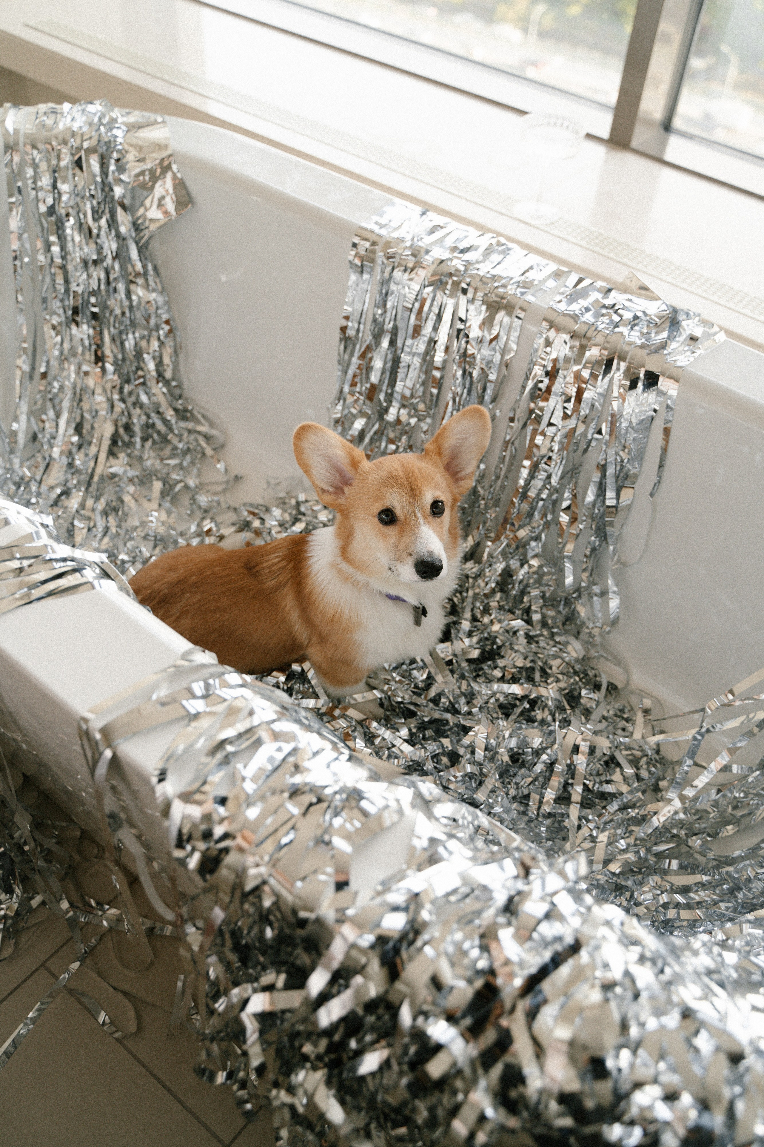 Вегас. Главная