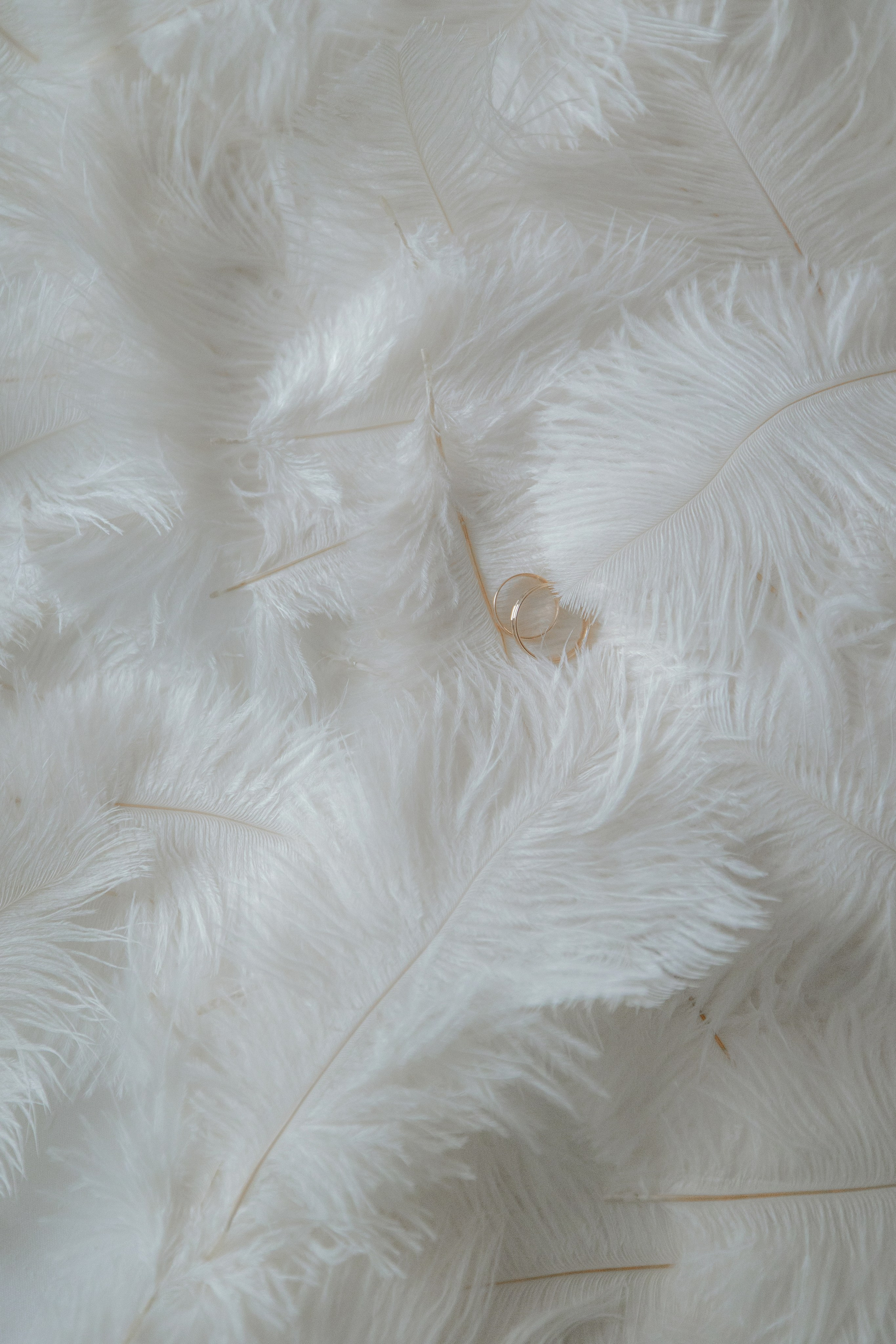 Ярослав и Кристина. Фотограф Анна Агеева