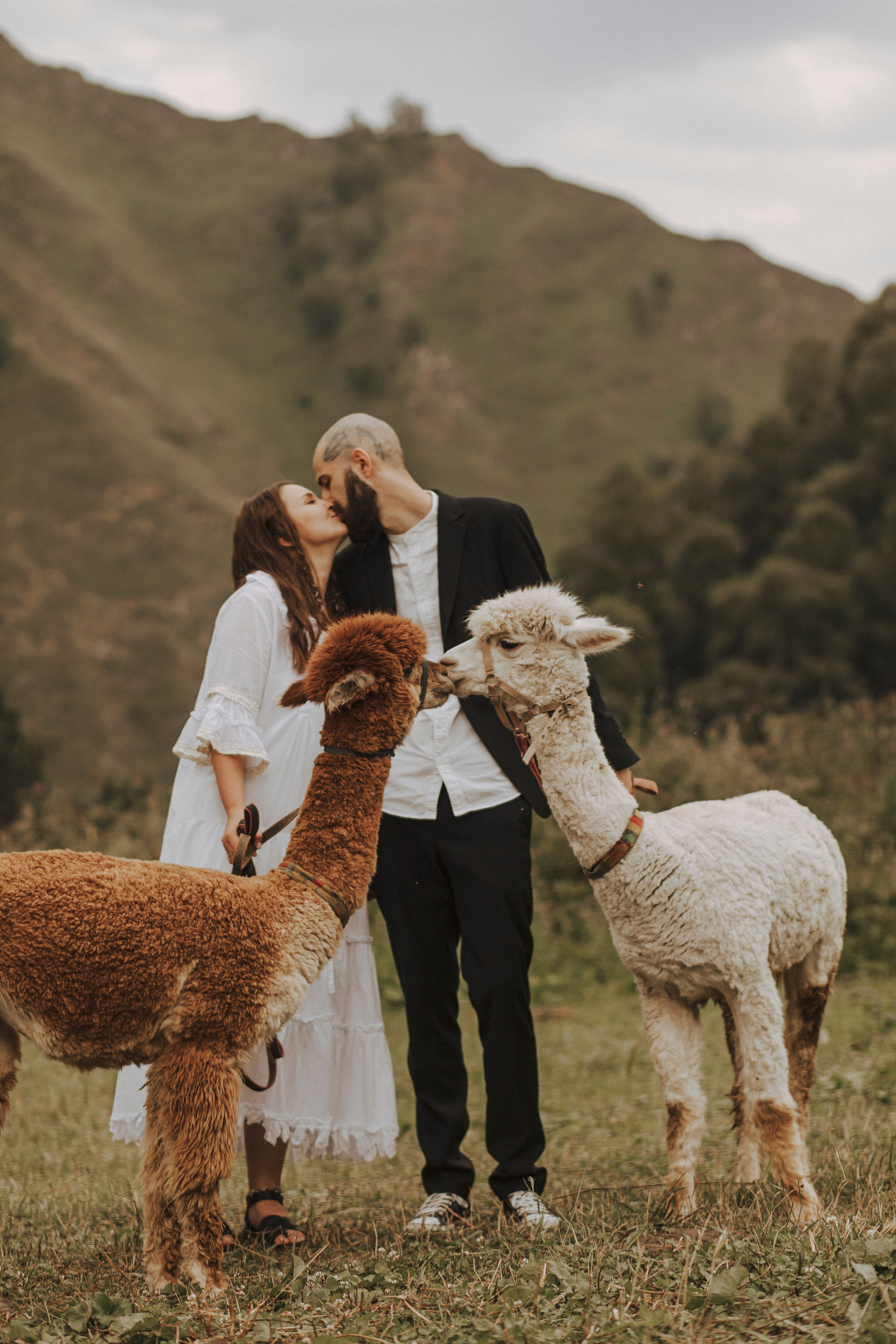 TIGRAN & VICTORIA | KISLOVODSK. Фотограф Настя Конник | Пятигорск | Эльбрус | Домбай | Архыз