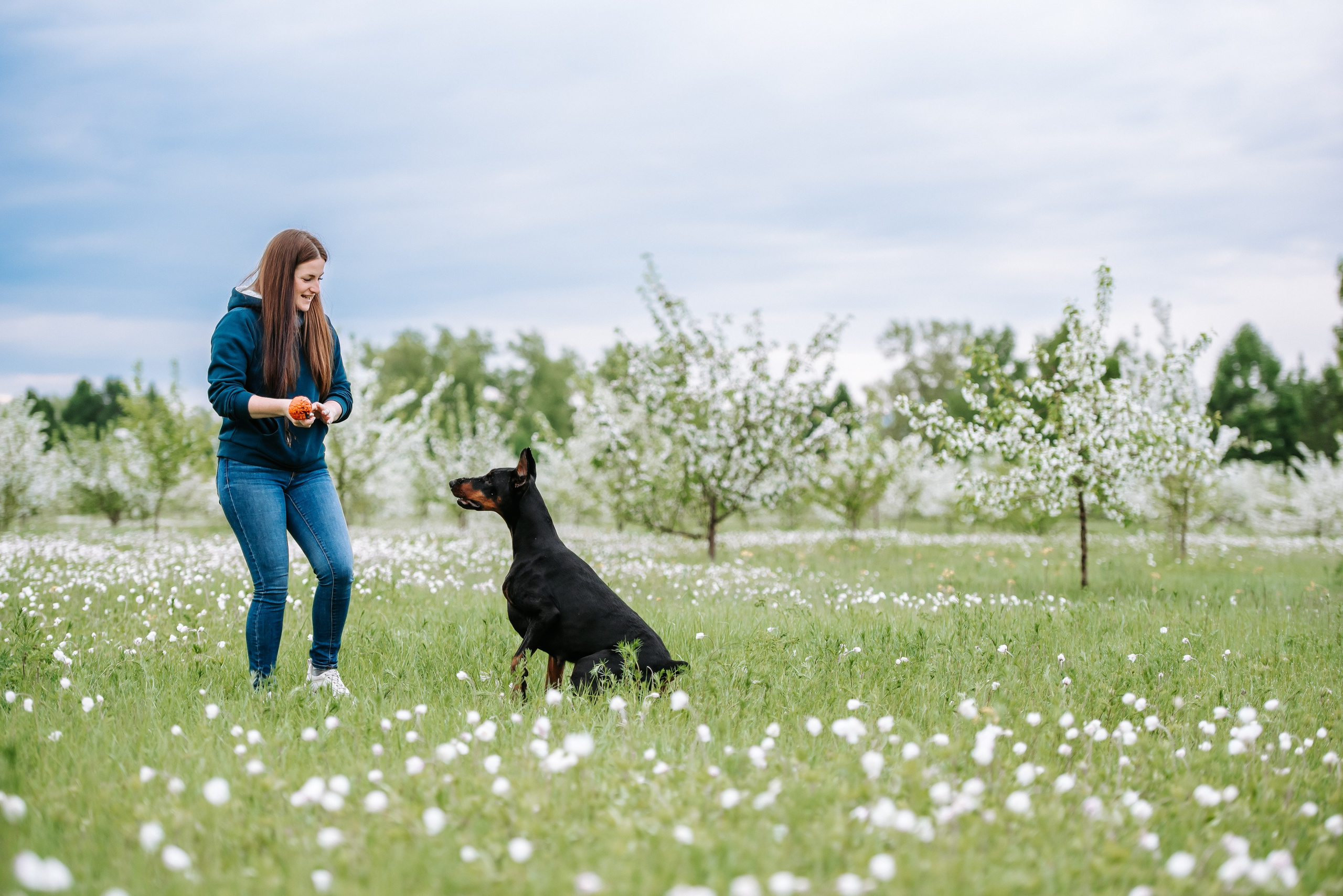 Цветение с доберманами. Фотограф Диана Оленина Красноярск / Братск