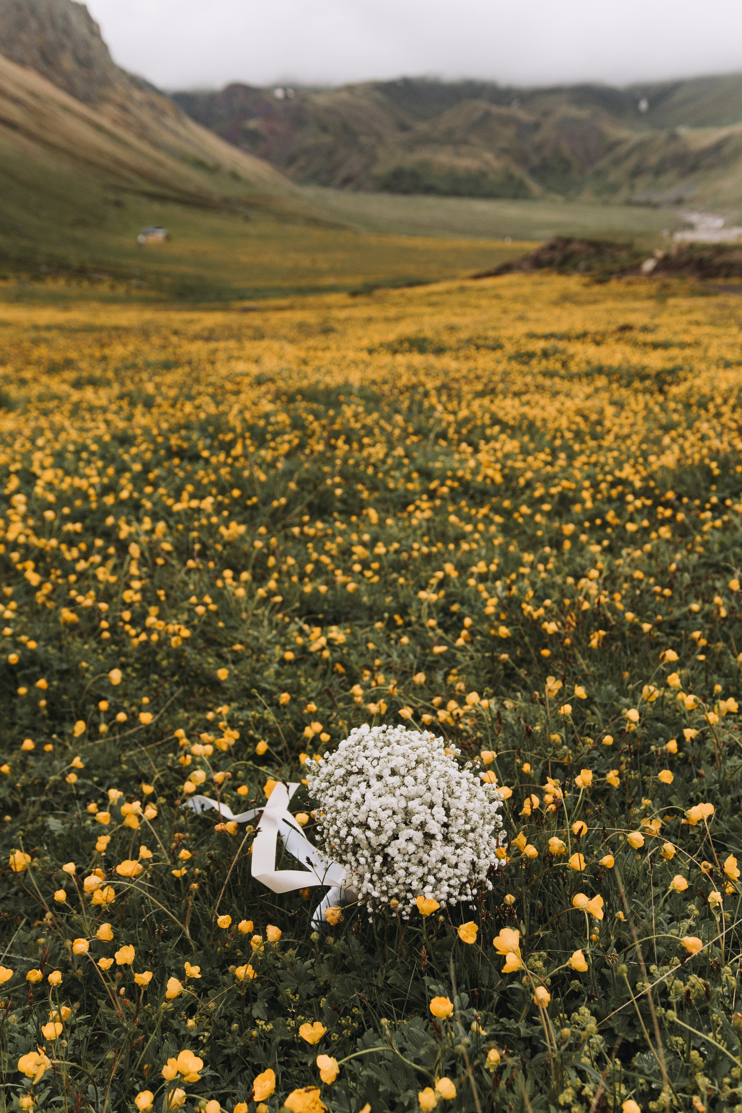 ЛЮТИКОВОЕ ЦАРСТВО. Фотограф Настя Конник | Пятигорск | Эльбрус | Домбай | Архыз | Видеограф КМВ