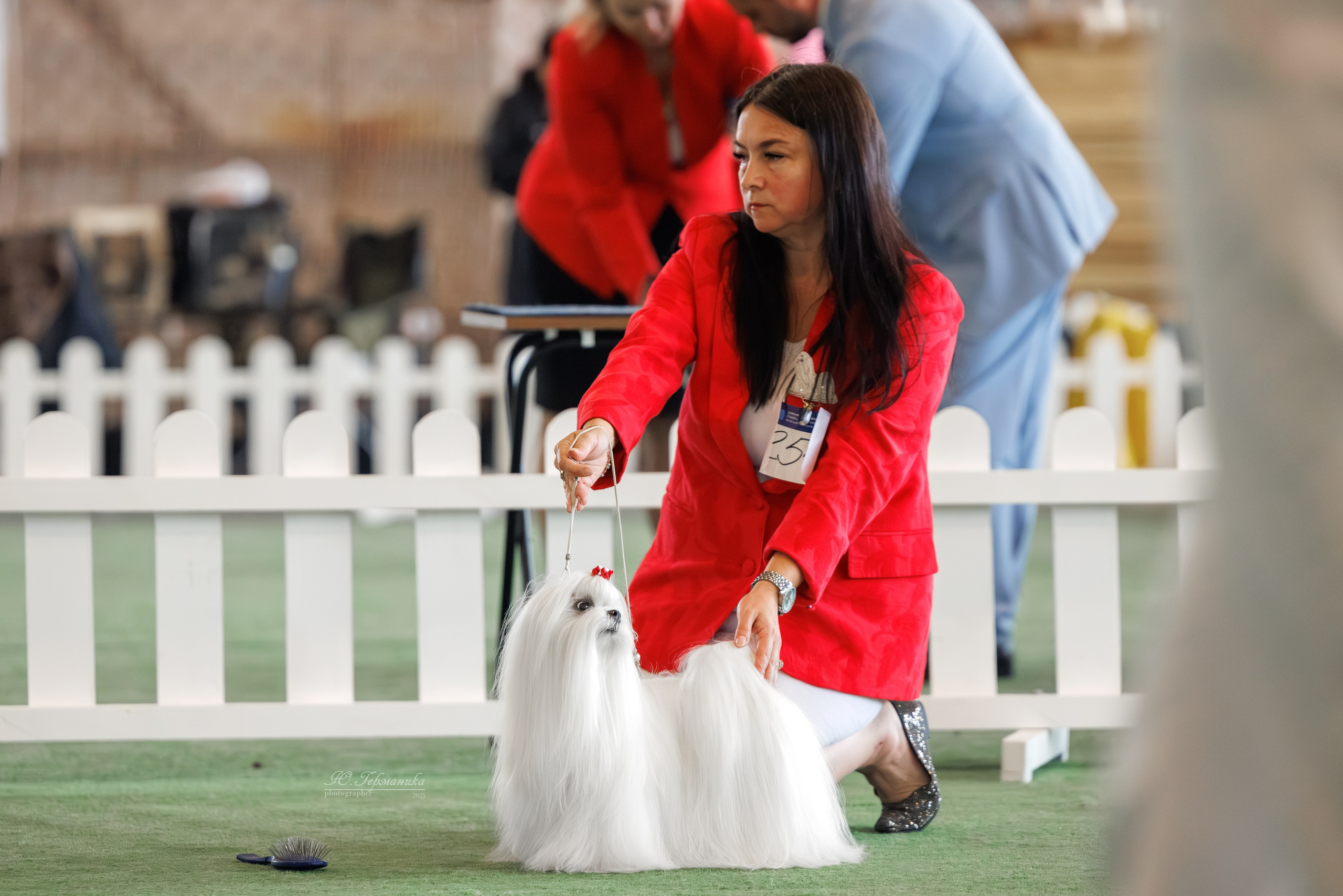 Батуми 3хCACIB 27-29.06.2025. Фотограф-анималист Юлия Германика