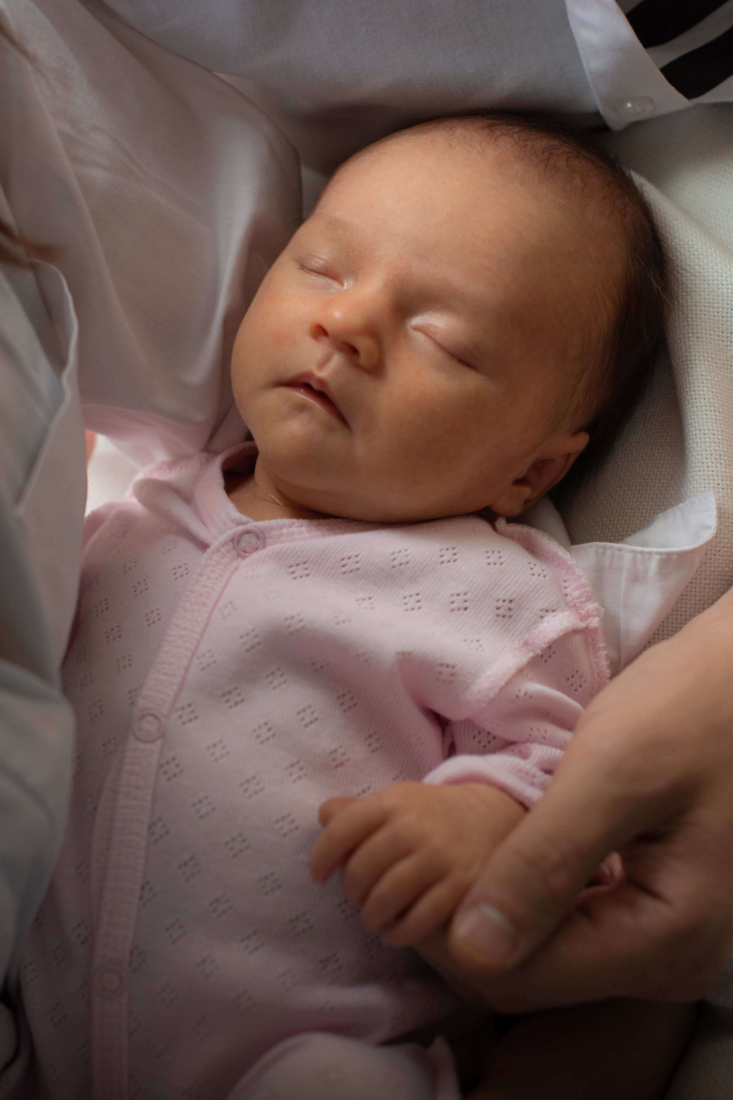 2023-09-21-Елизавета. Фотосессия беременности — Крылова Натали — Москва