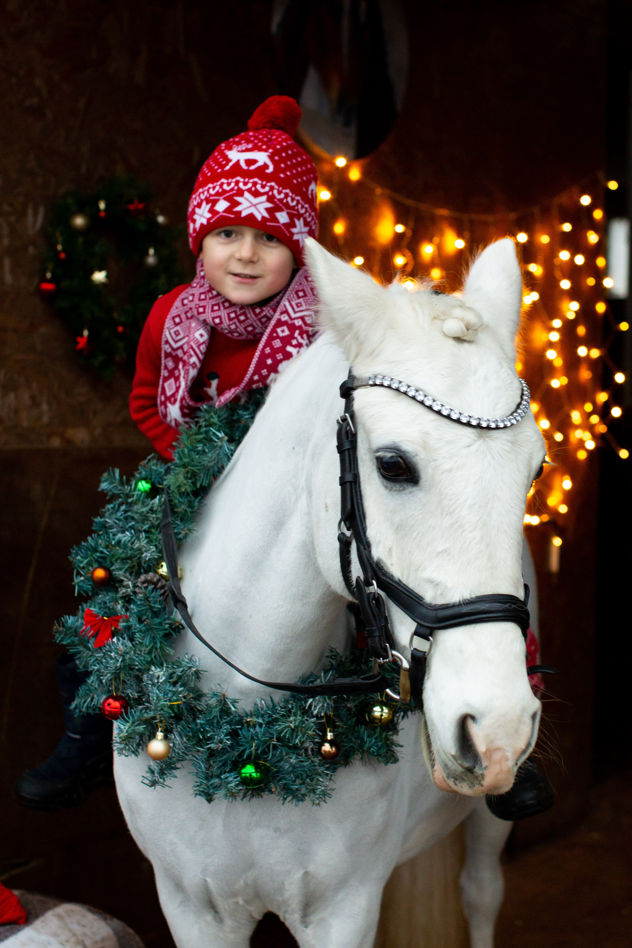 Конные фотосессии (съёмки с лошадьми). Главная