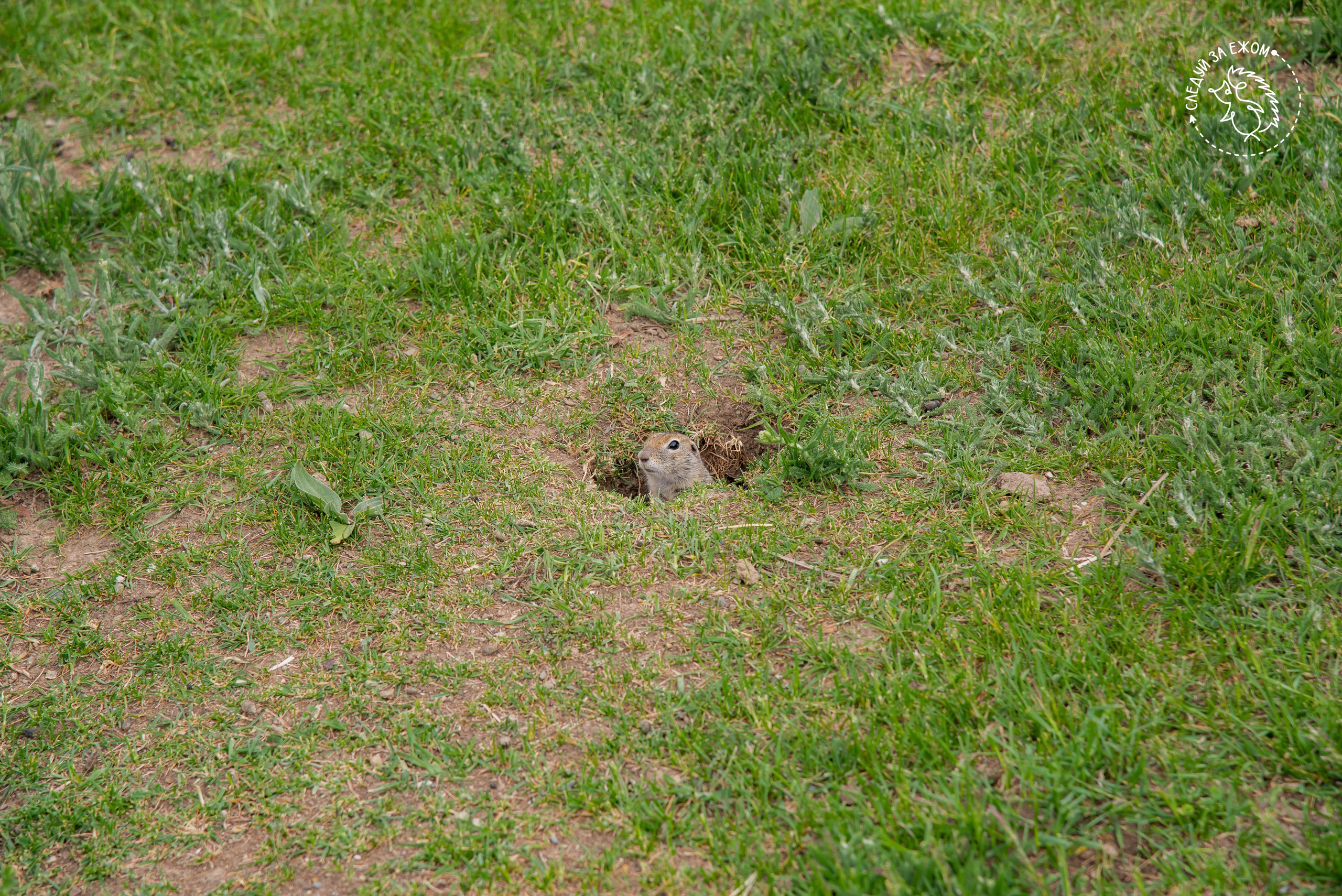 Тур в Чегем. Фотограф Галина Нестерова