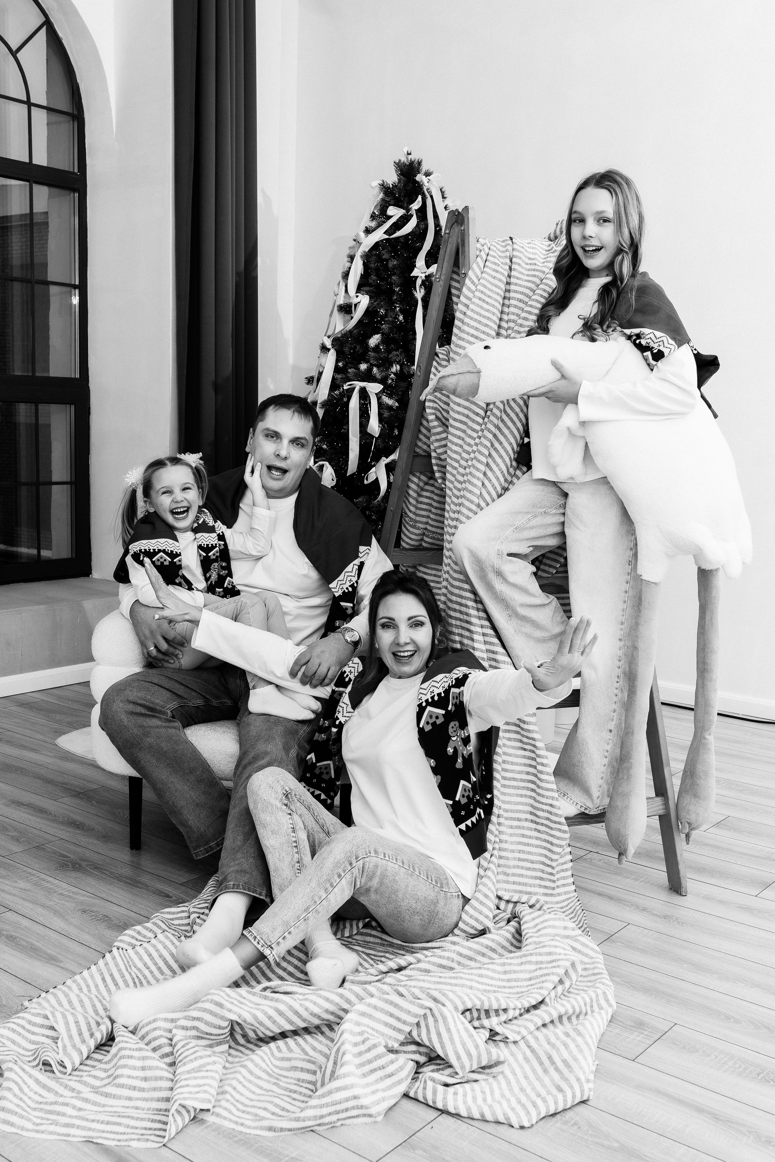 Новогодняя семейная в студии. Профессиональный фотограф, Москва |Видное Елена Елизарова