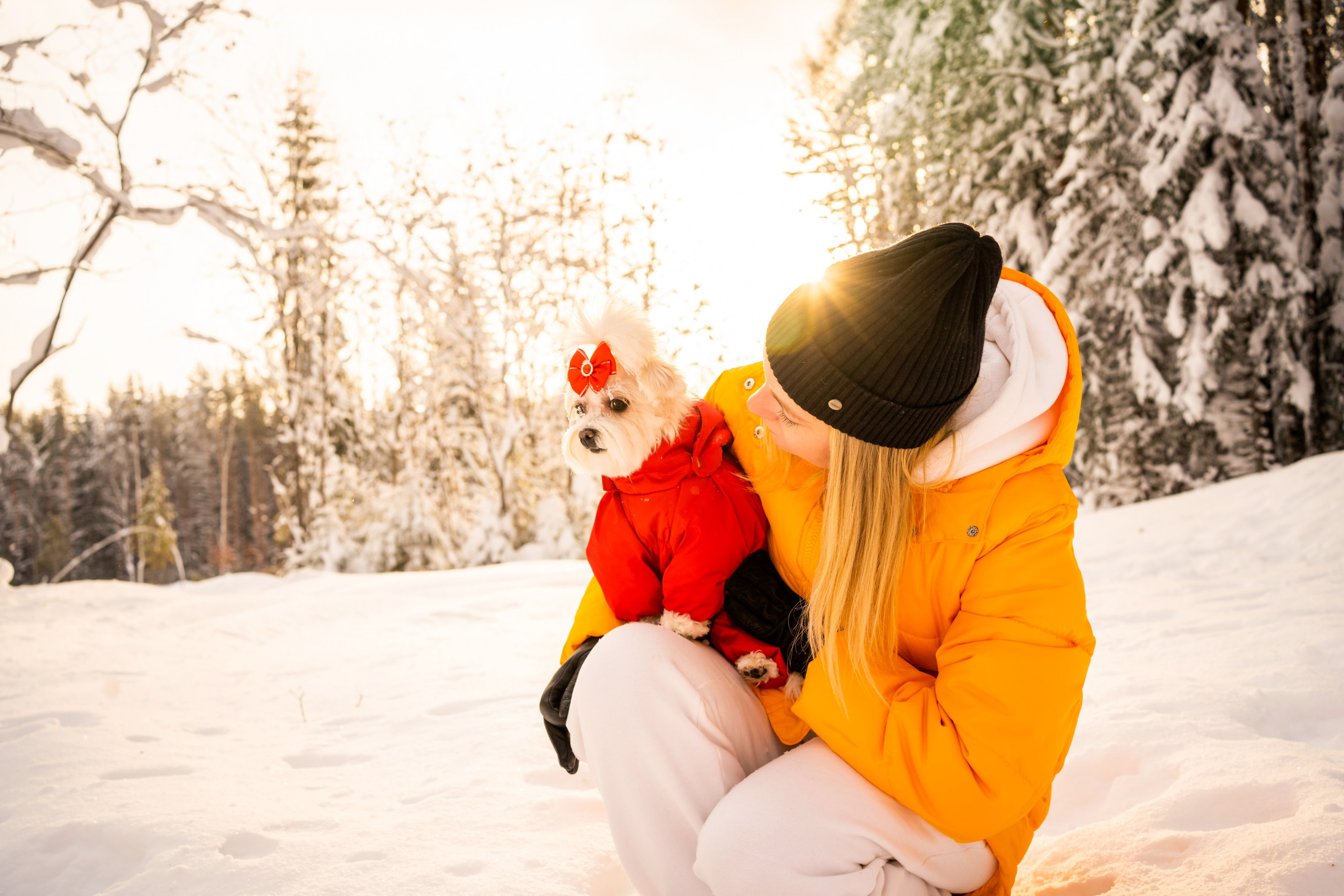 Обо мне. Фотограф-анималист Анастасия Большакова