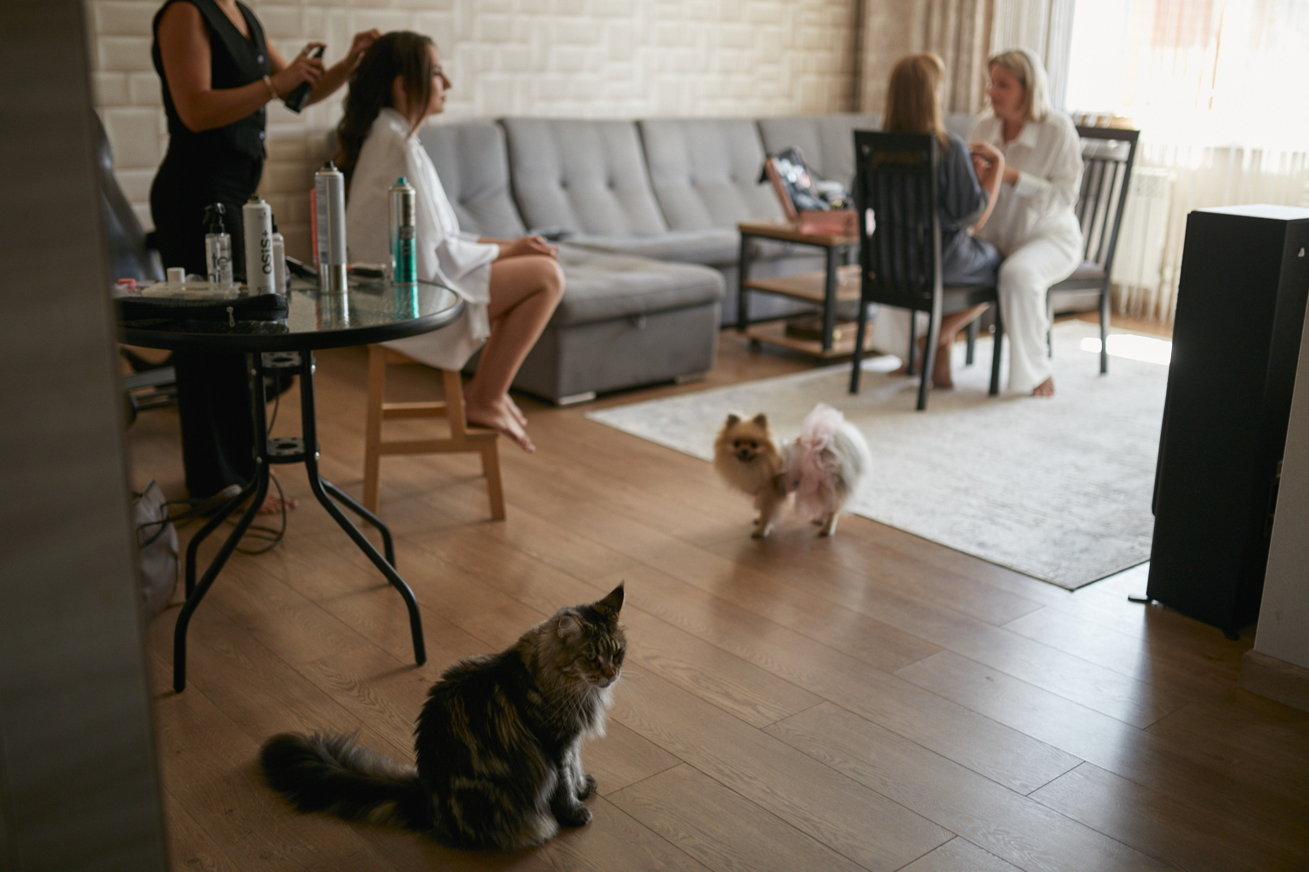 Карина и Рома. 25.07.2025. Алина Каравайцева. Фотограф в городе Барнаул