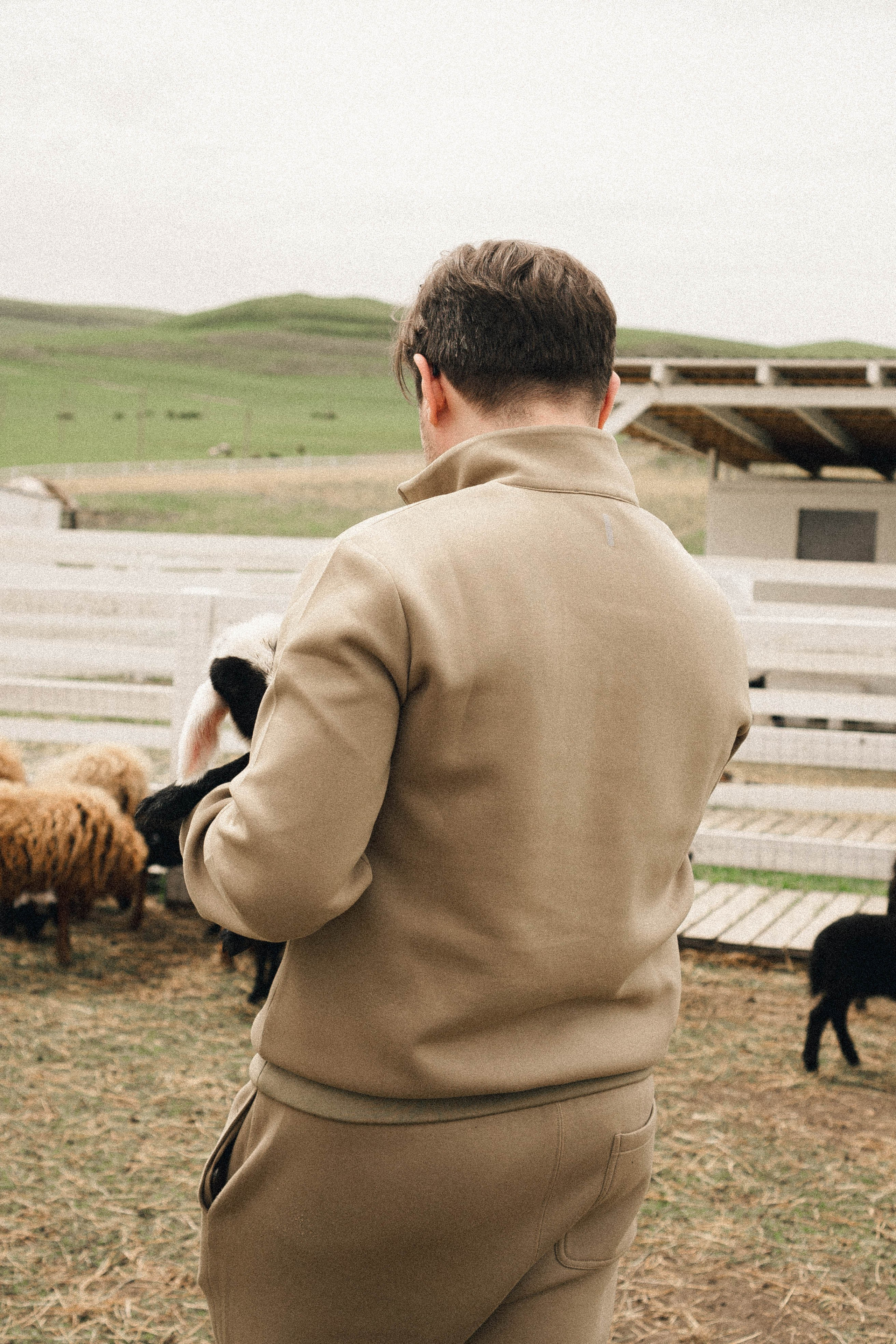 Ферма Альпак. Профессиональный фотограф, Санкт-Петербург — Виктория Богомолова