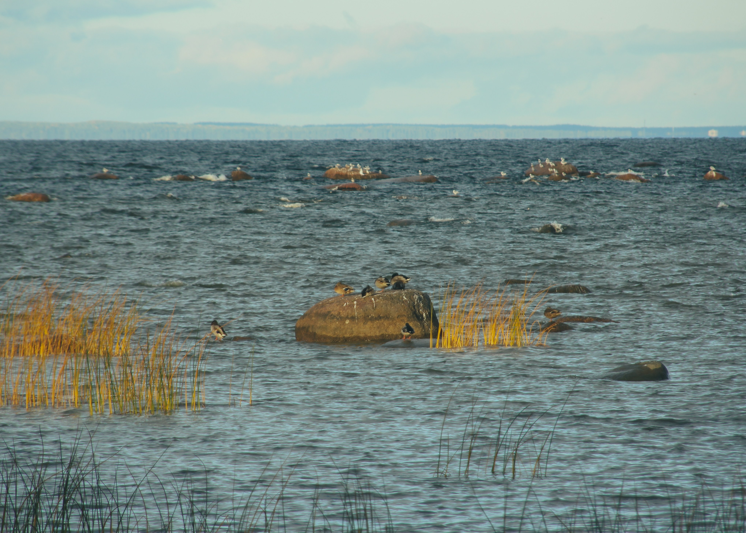 Андерсонград. Портретный фотограф DanilNabody