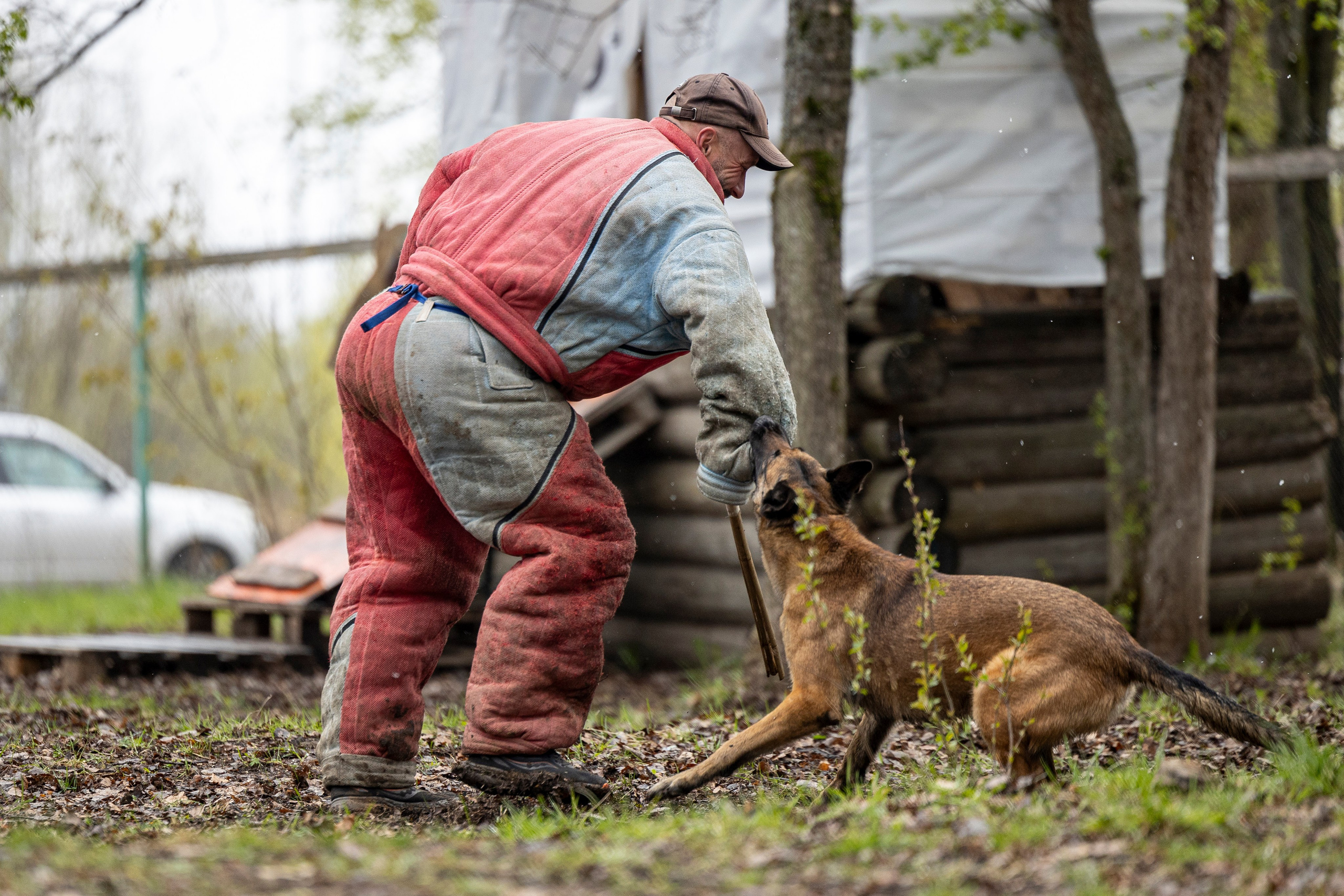 Квалификационные состязания по мондьорингу г. Вологда 11.05.24. Фотограф-анималист Анна Маринич