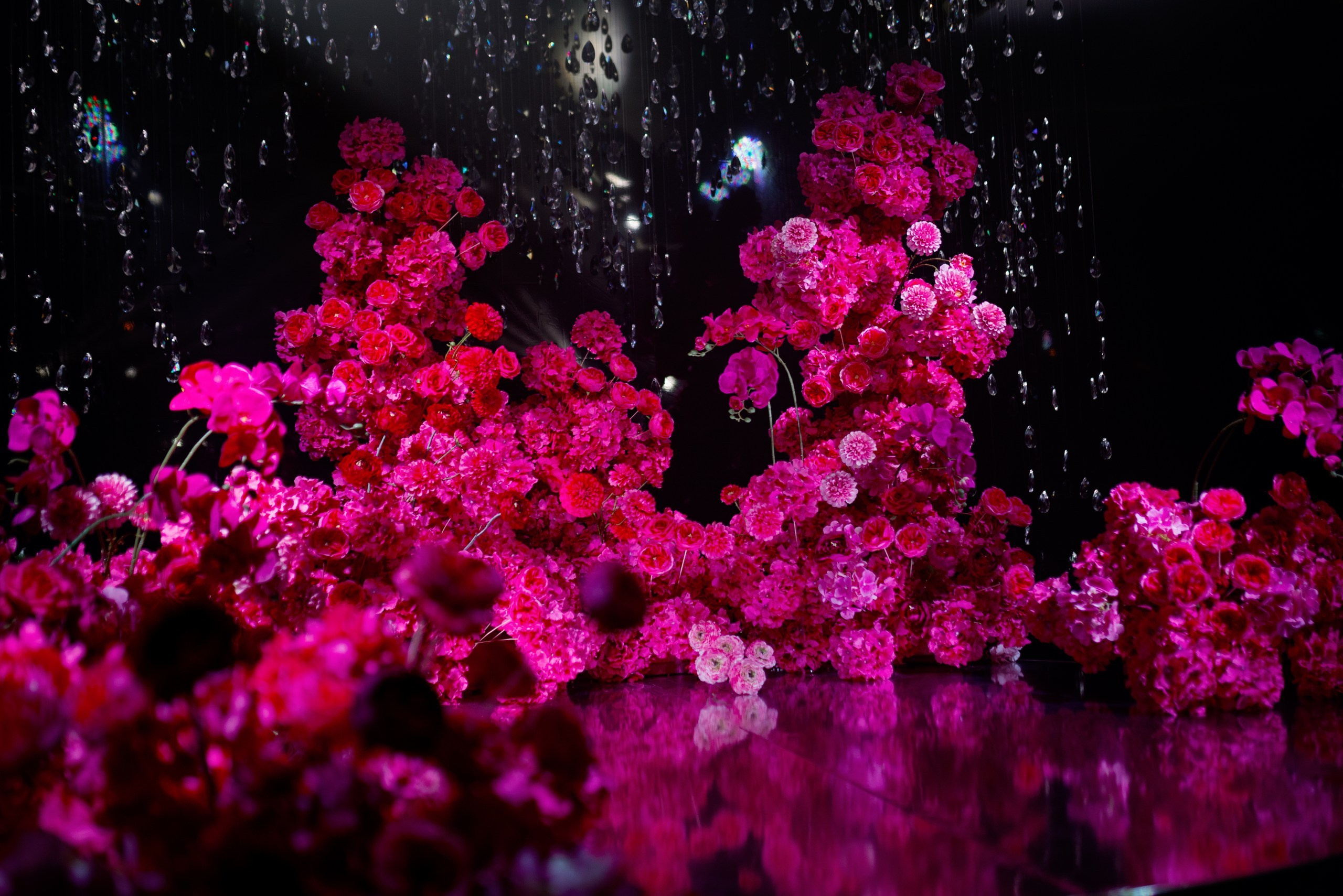 Евгений и Ксения. Организация и декор мероприятий Донецк (ДНР)