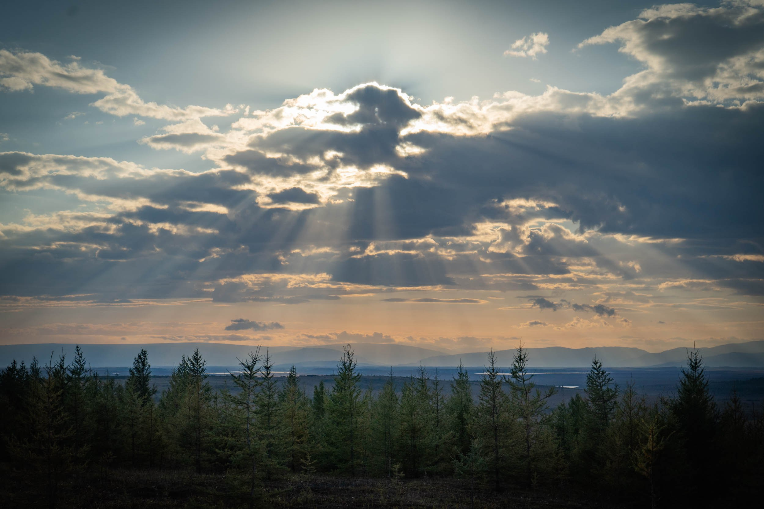 Рифы девонского моря. Фотограф Екатерина Зорина