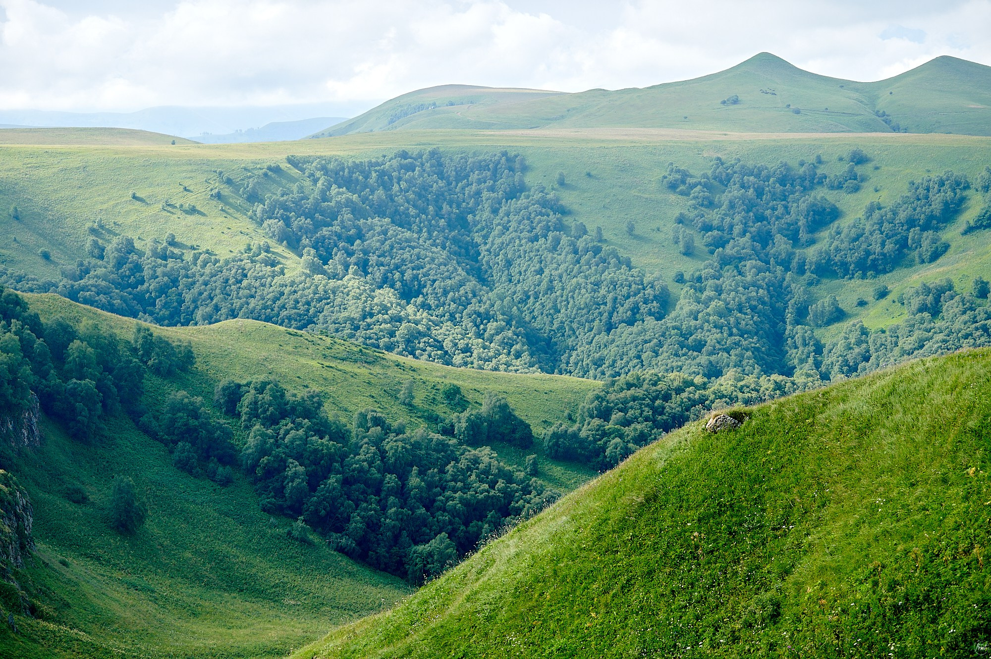Домбай август 2024. Фотографии отовсюду и обо всем
