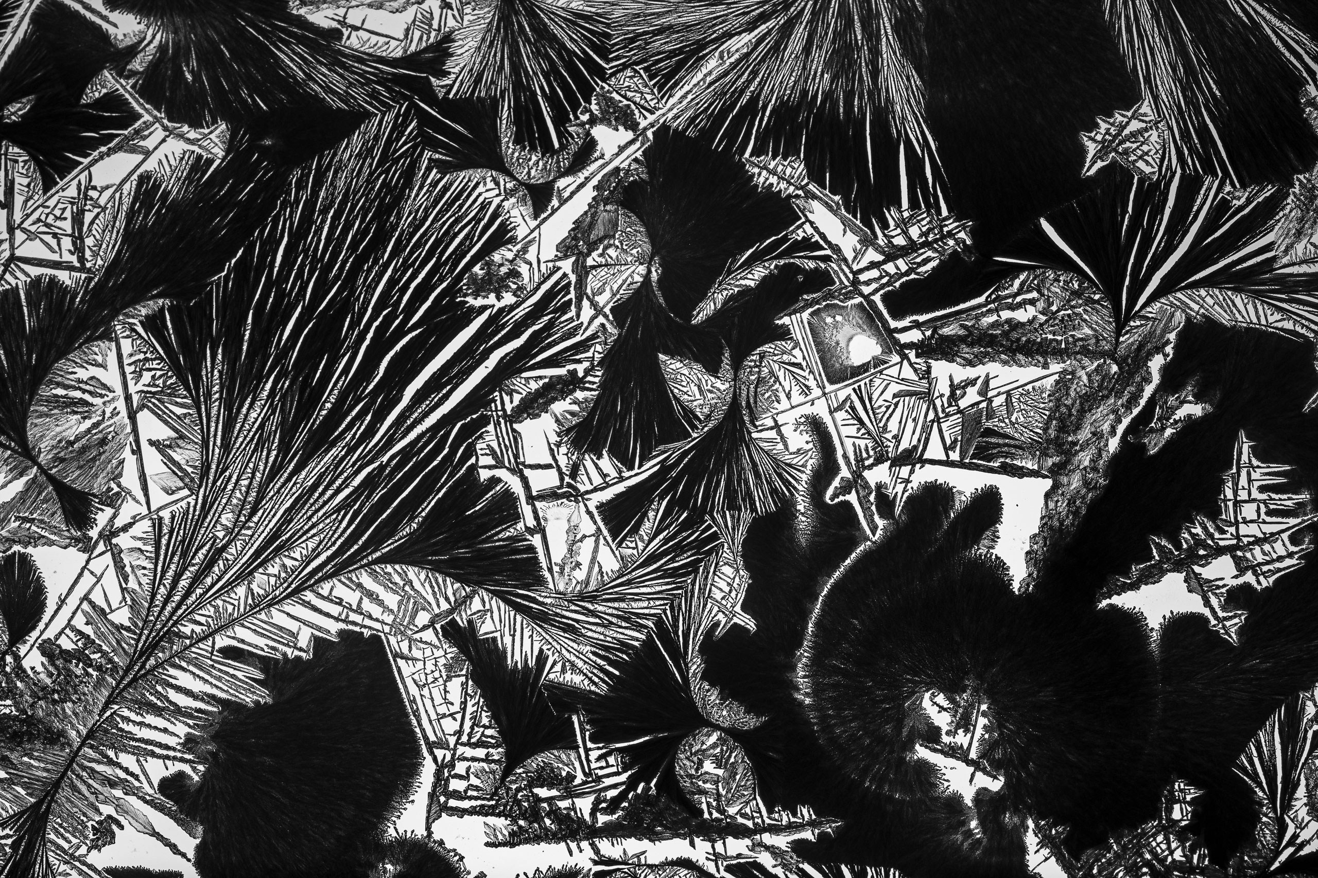 Кристаллы амино кислоты. Скульптуры из воды Сергея Толмачева