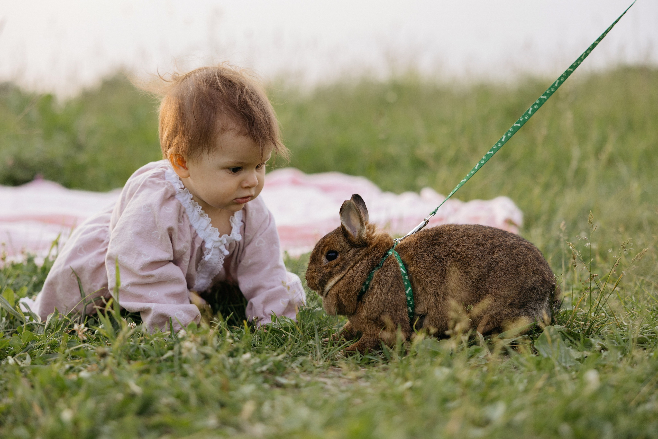 Песни и самолеты. Свадебный фотограф в Москве Полина Лелетко