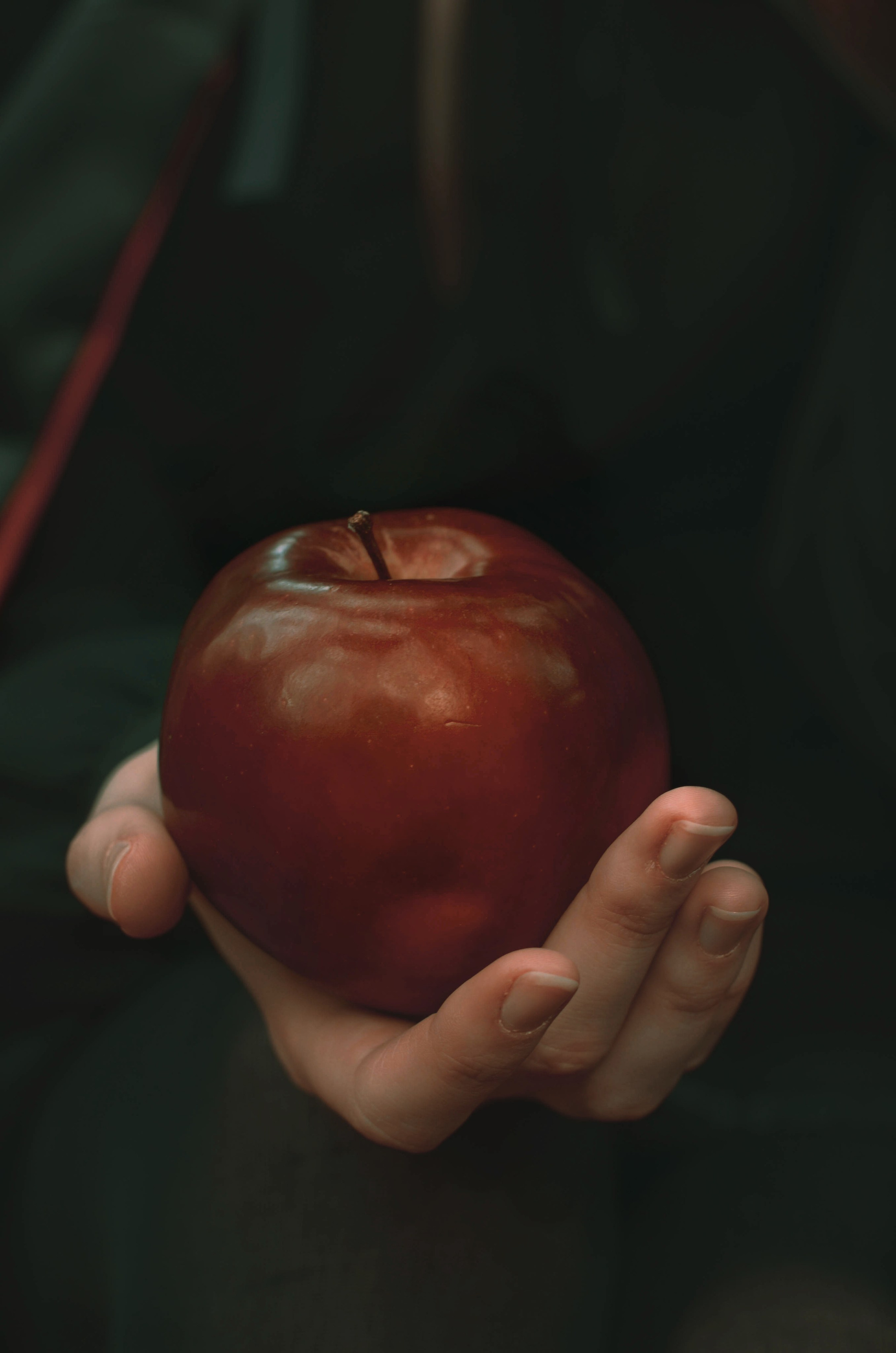 Фотопроект «Яблоки Белоснежки». Фотосессии по мотивам сказок и фильмов — Катерина Исауленко. СПб