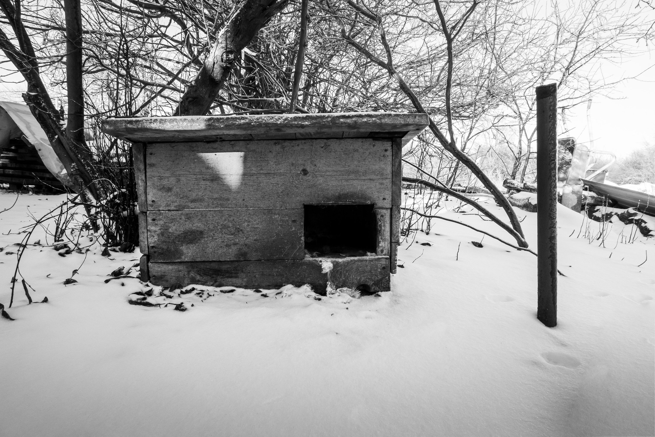 Деревня / Юг. Фотограф Антон Денисенко: Портрет, Документалистика, Пейзаж. Москва