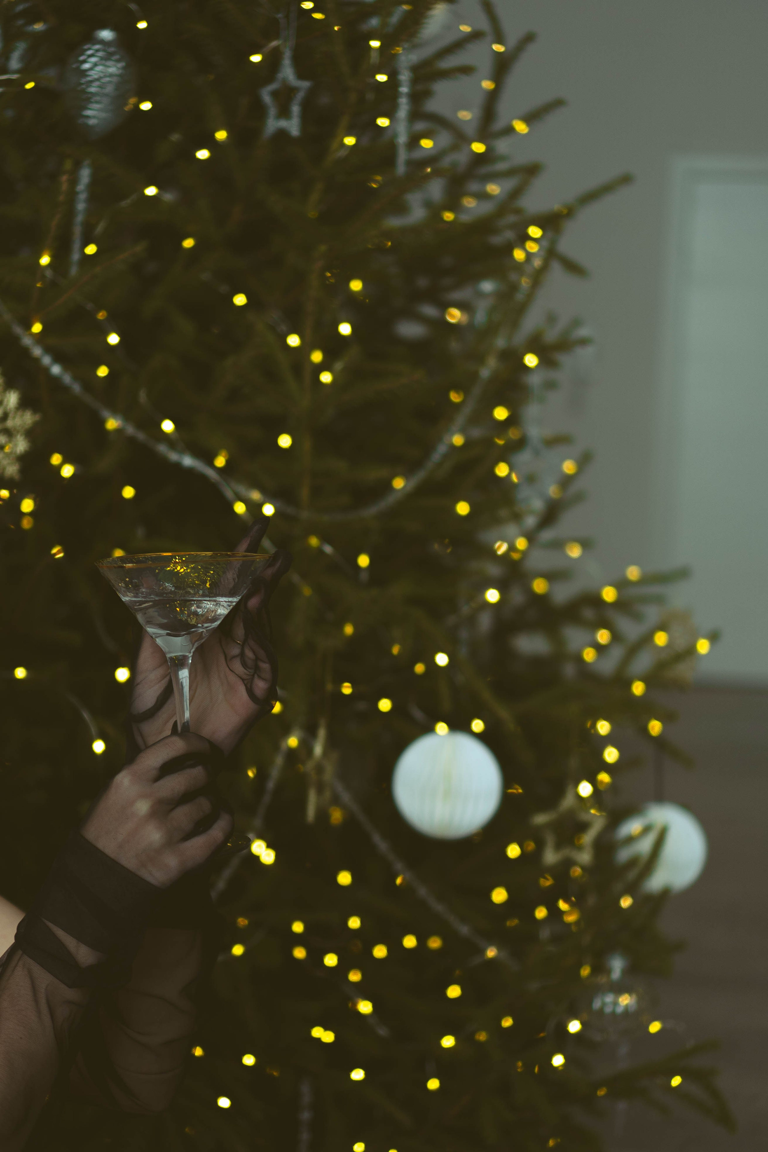 Новогодняя. Профессиональный фотограф, Санкт-Петербург — Виктория Богомолова