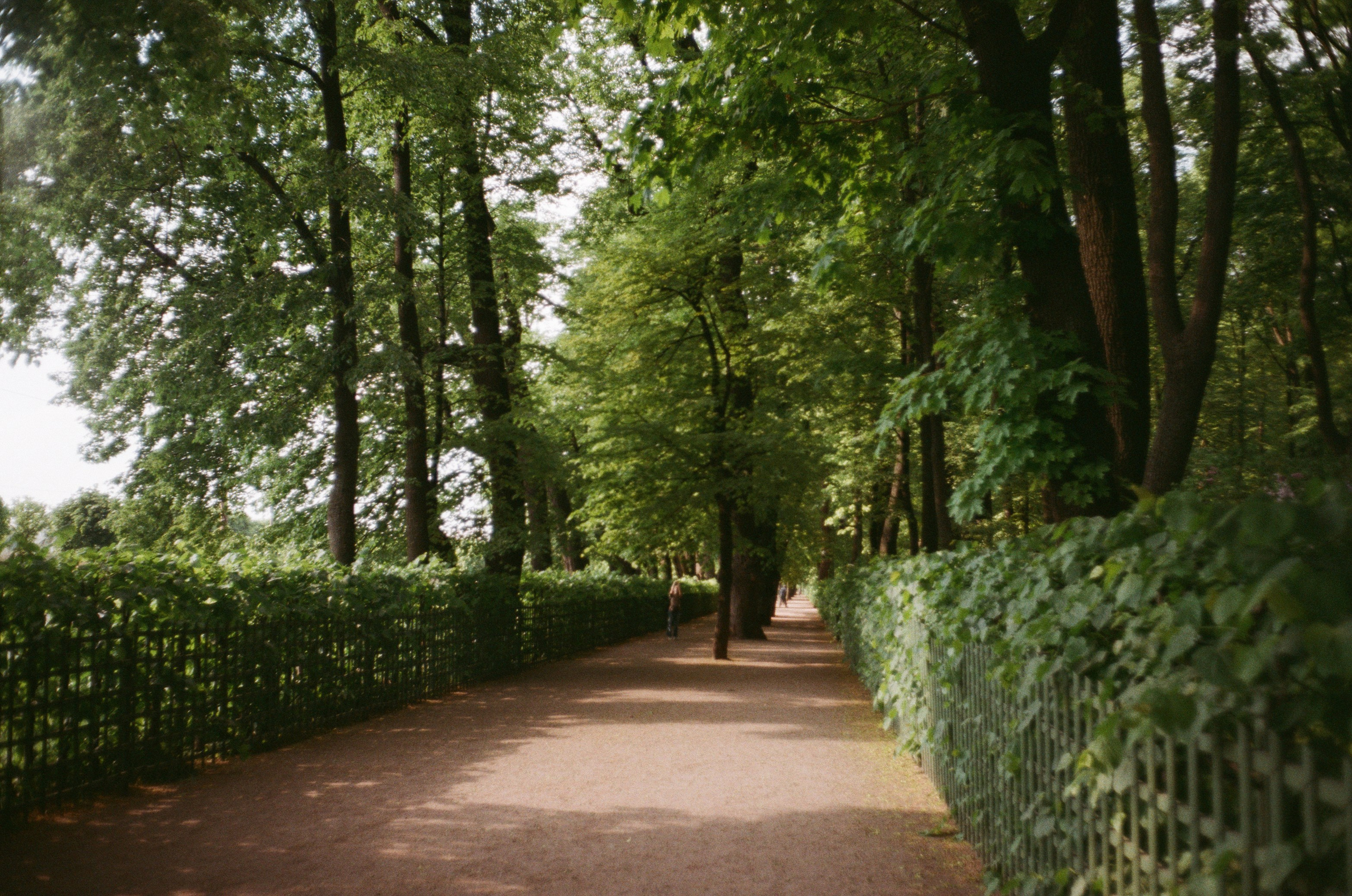 Прогулка по Питеру после отраслевой конференции / Minox 35GT