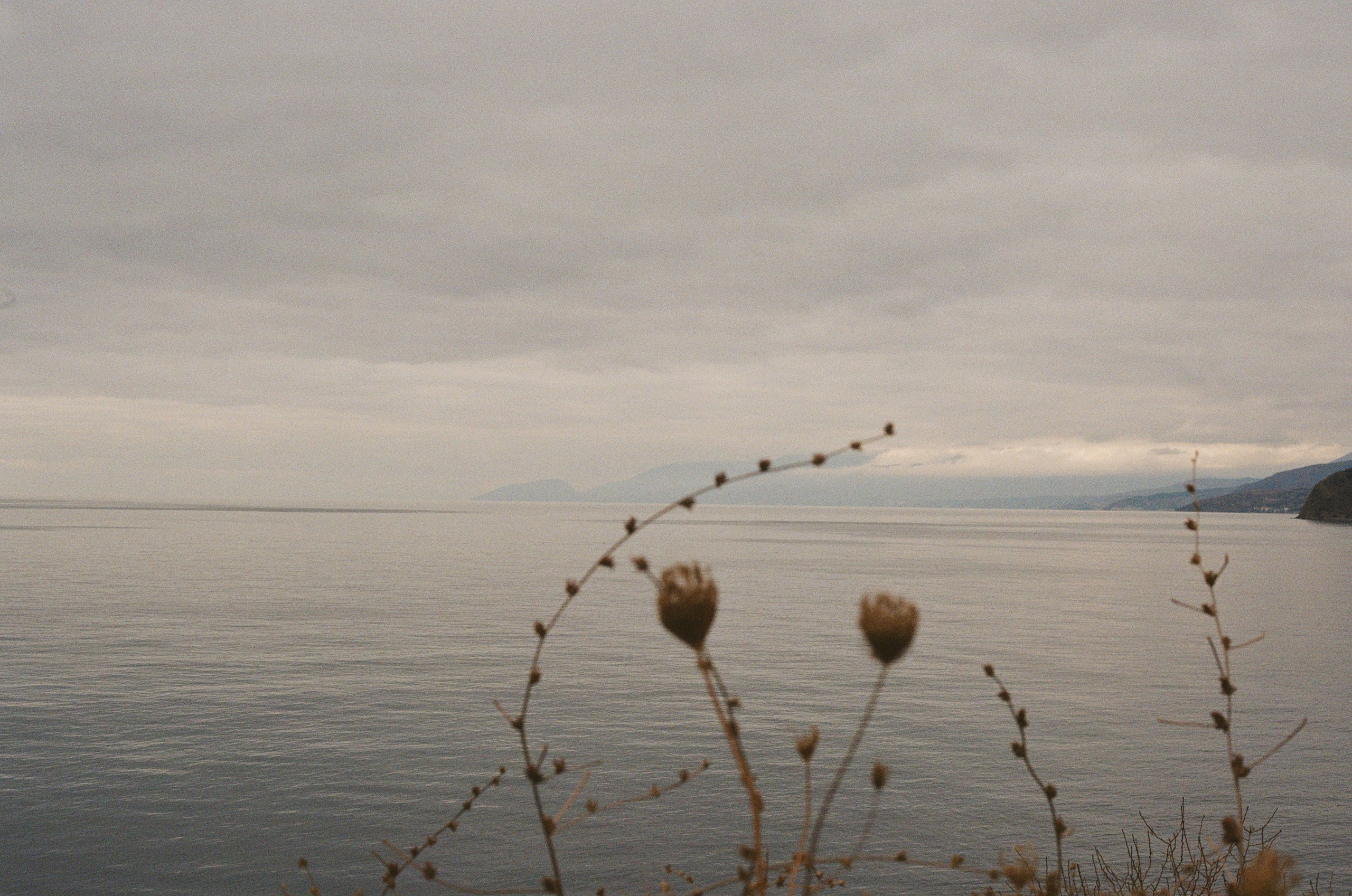 Фотосессия на пленку, свадьба, портреты, ивенты в Москве. Кизя Мисриева — фотограф: плёнка, цифра. Москва и не только