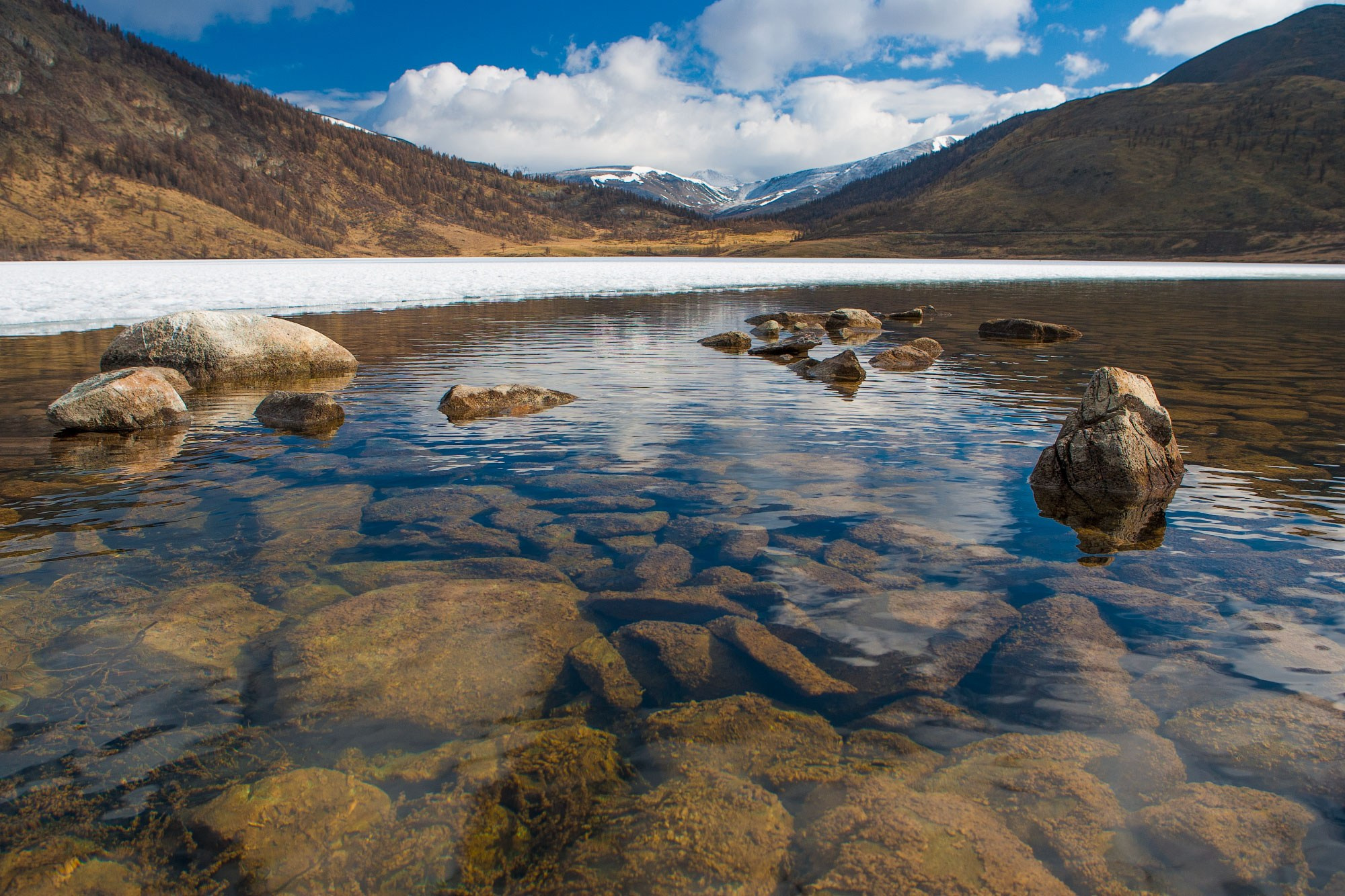 Свадебный фотограф в Геленджике