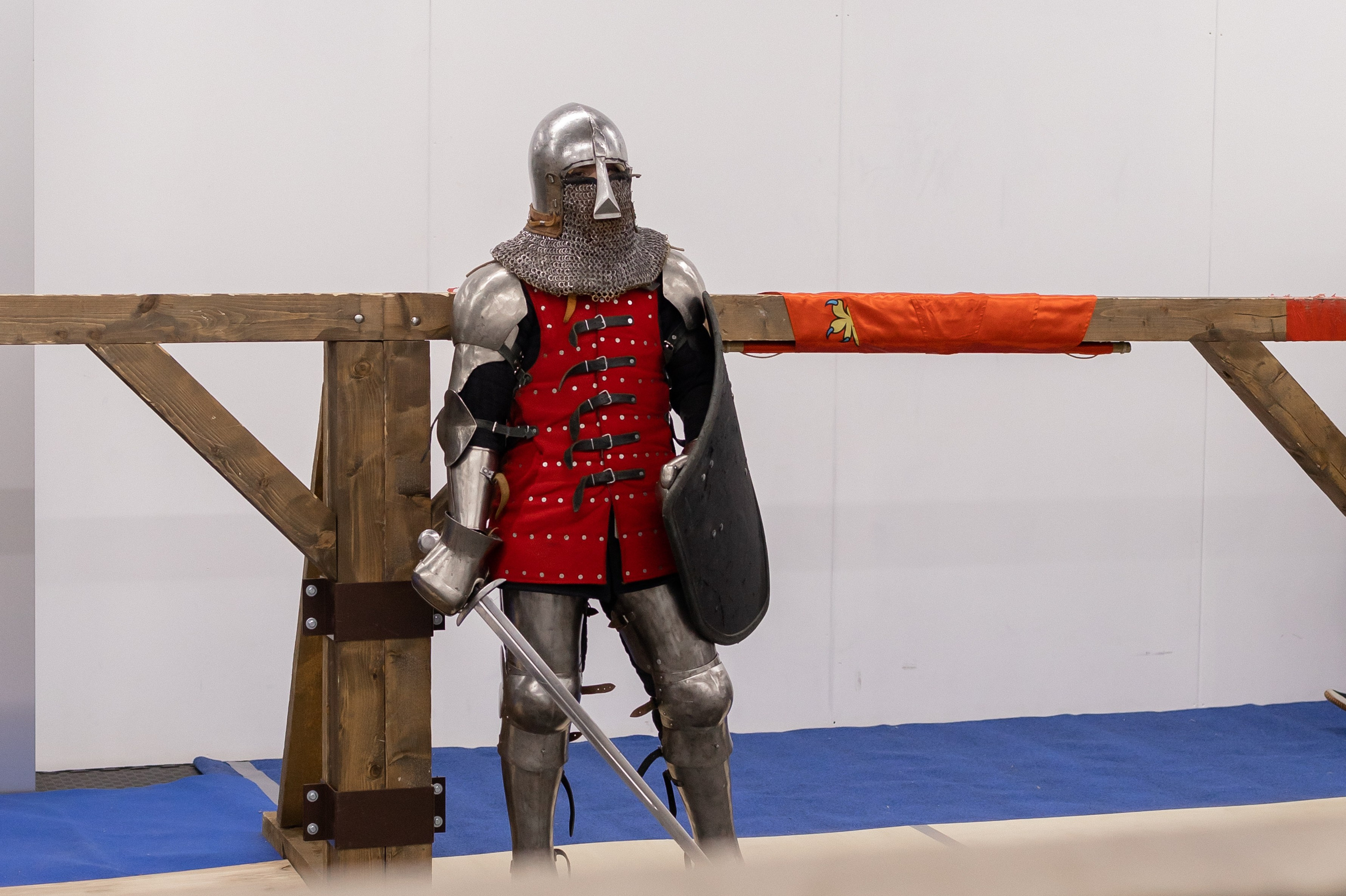 Турнир средневековых рыцарей