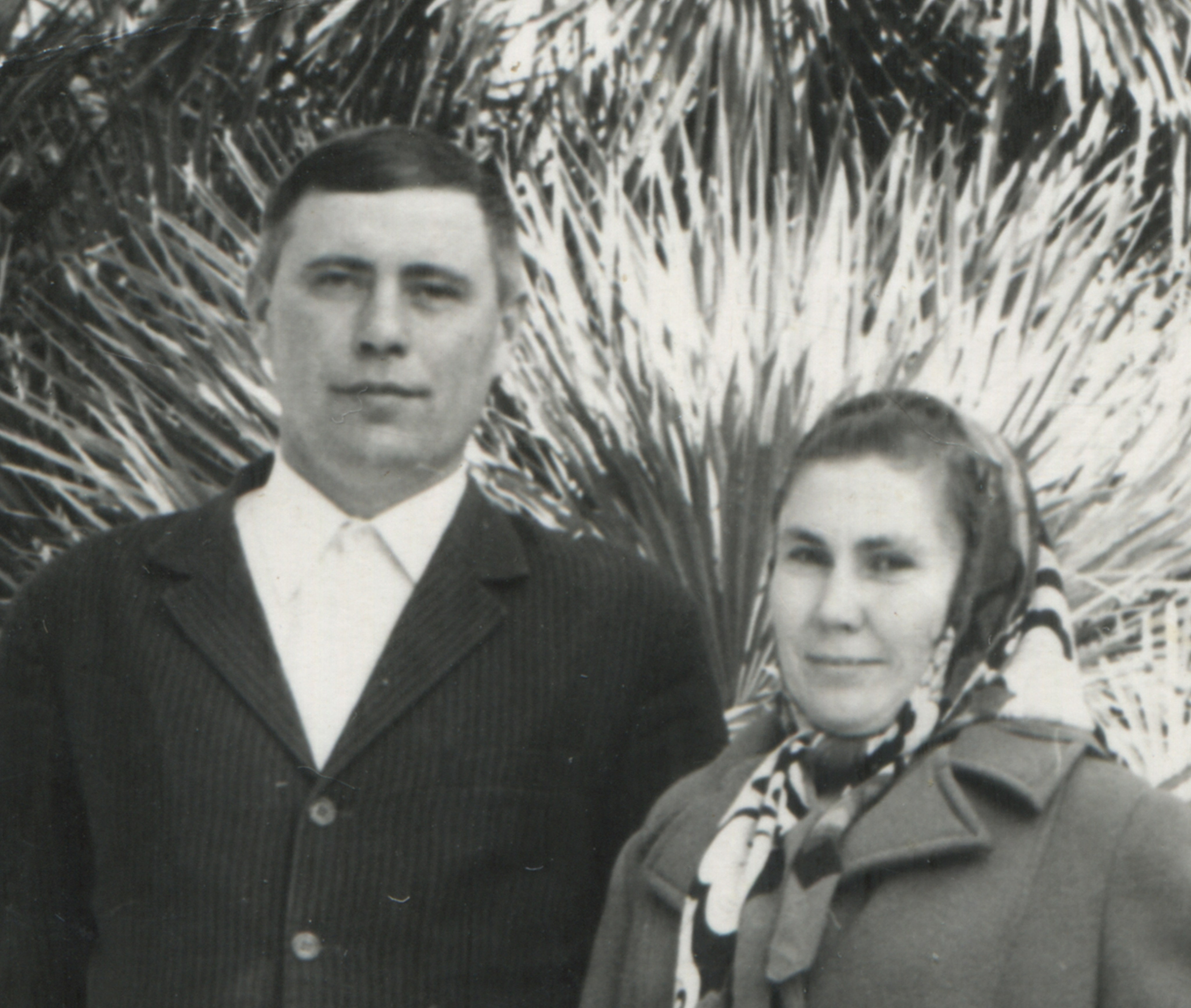 Портфолио. Семейный альбом