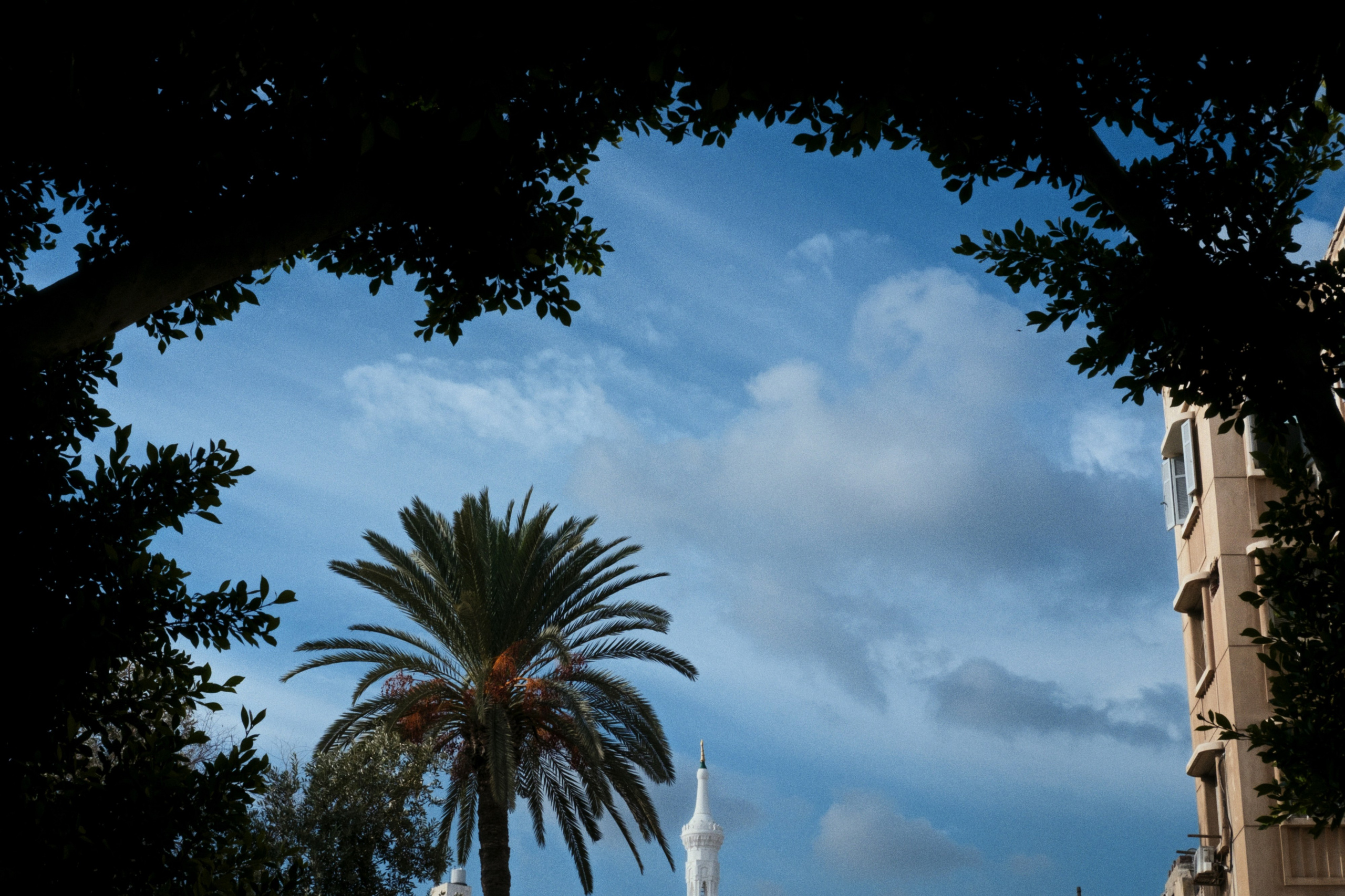 Alexandria / Egypt AW25. Фотограф Юрин Евгений