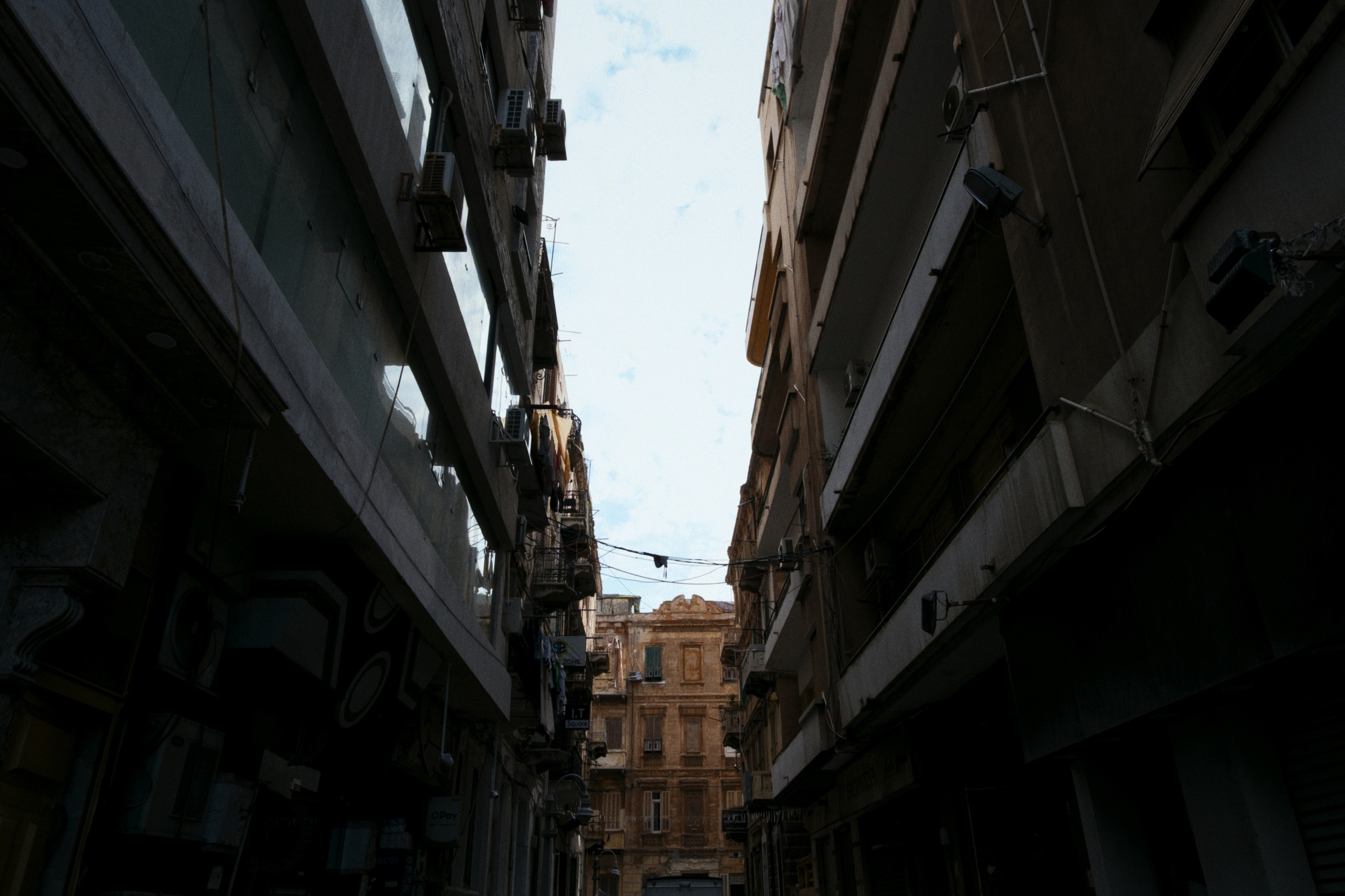 Alexandria / Egypt AW25. Фотограф Юрин Евгений