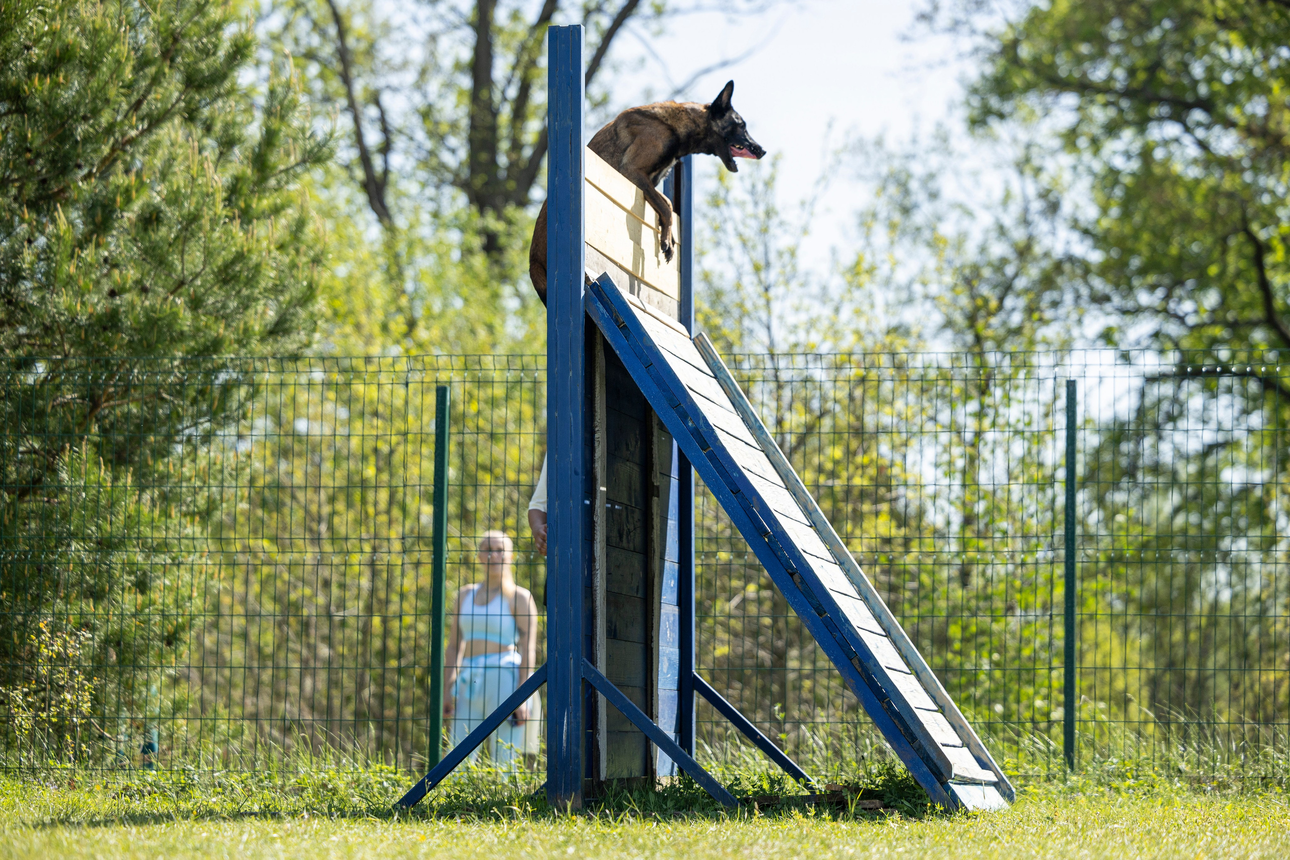 Испытания по мондьорингу в Нижнем Новгороде. Фотограф-анималист Анна Маринич