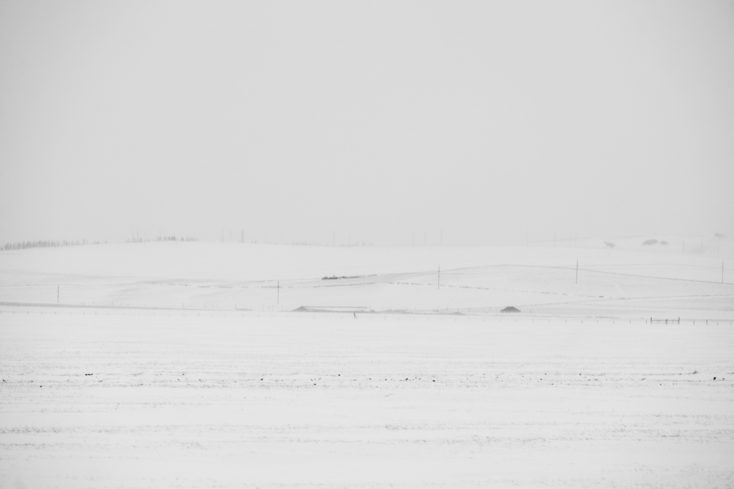 Silence. Irina Borodina