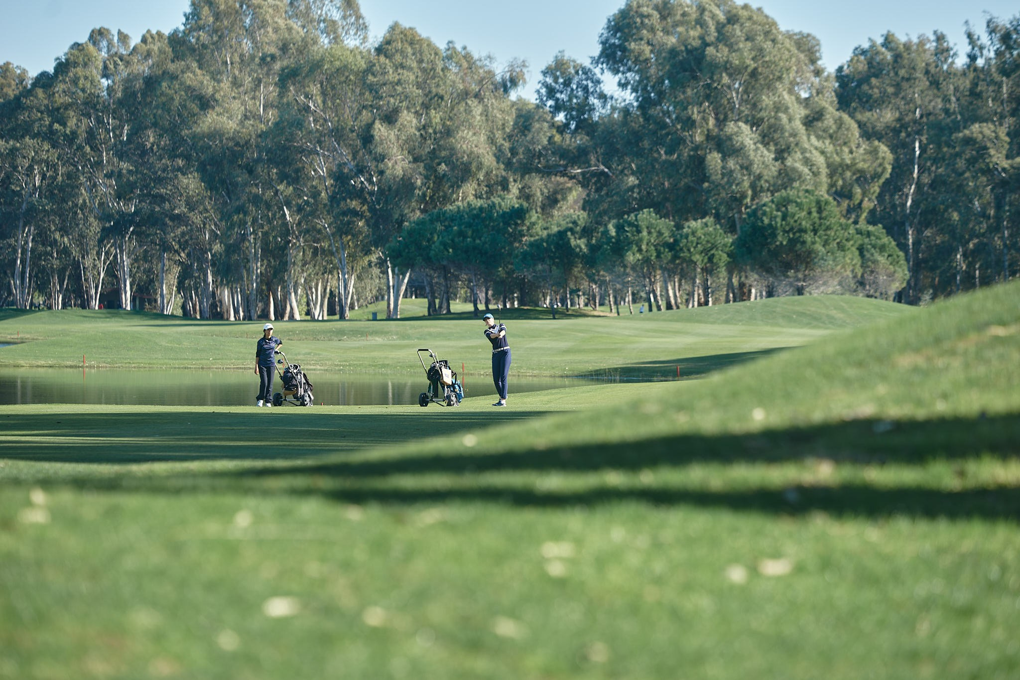 Turkey 2024. Академия гольфа NSU в Москве. Тренировки по гольфу для детей и взрослых, тренировки для новичков