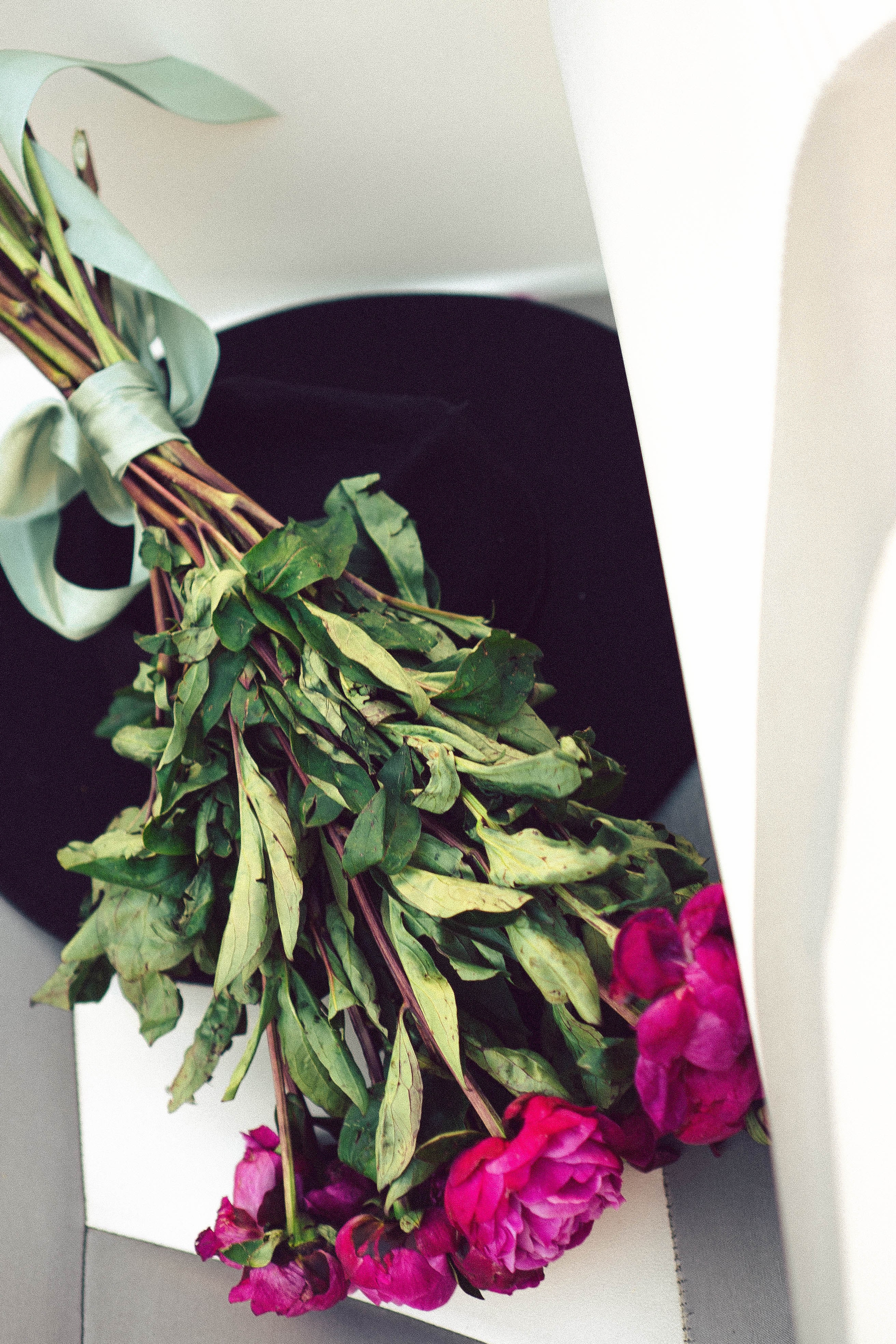 Летняя морская прогулка. Профессиональный фотограф, Санкт-Петербург — Виктория Богомолова