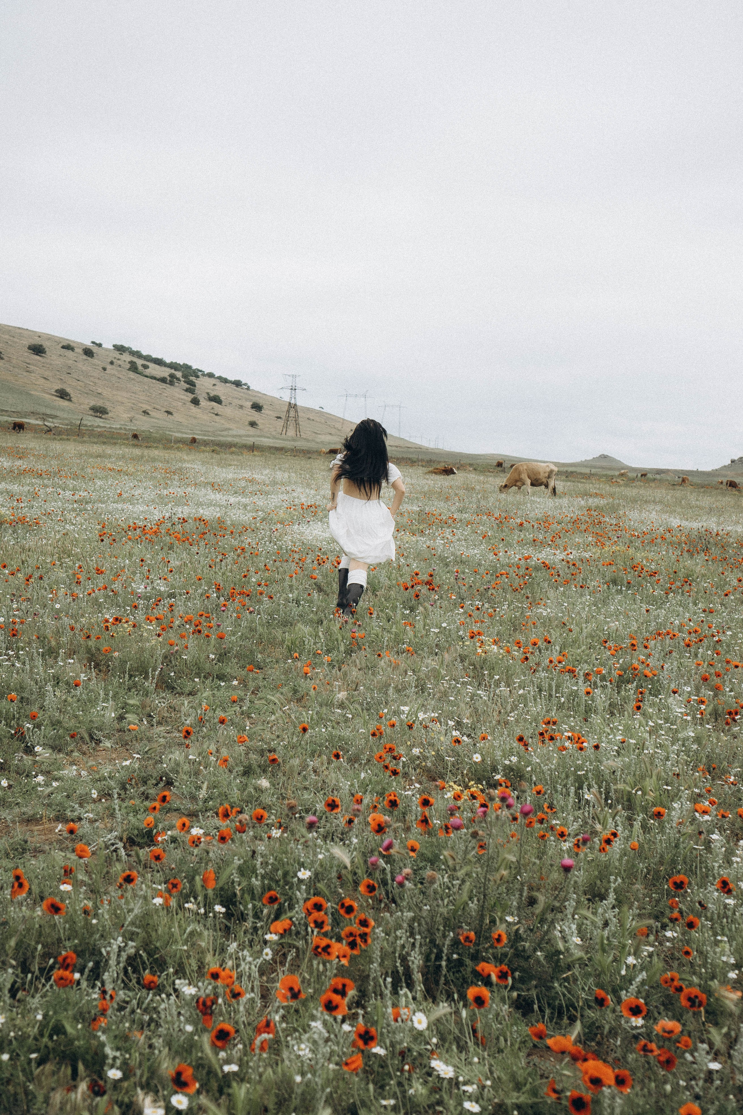 Маковое поле. Профессиональный фотограф, Санкт-Петербург — Виктория Богомолова