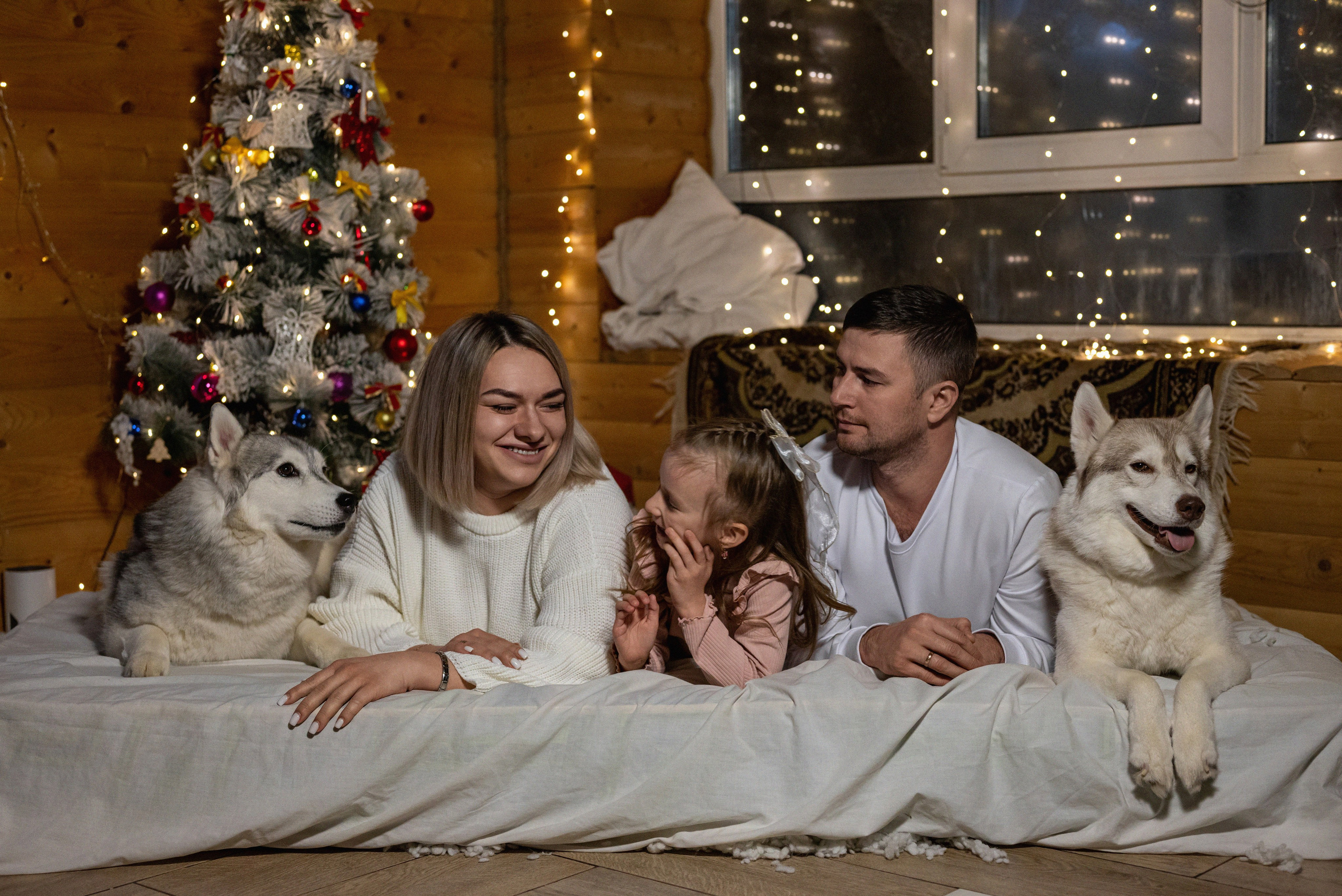 Фотопроект с хаски 2024 г. Фотограф в городе Салават