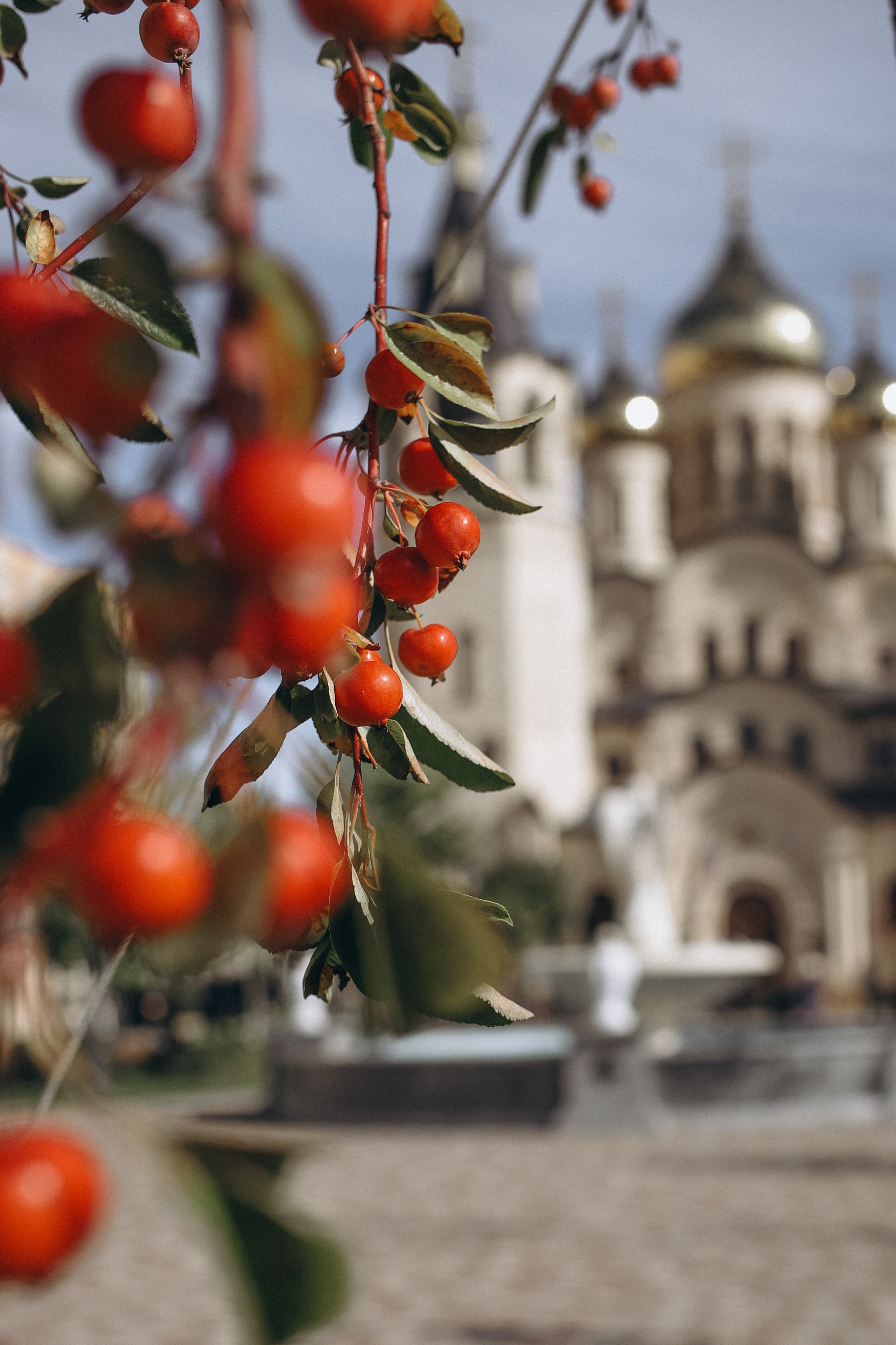 Таинство Крещения. Семейный фотограф в Ставрополе Кристина Ткаченко