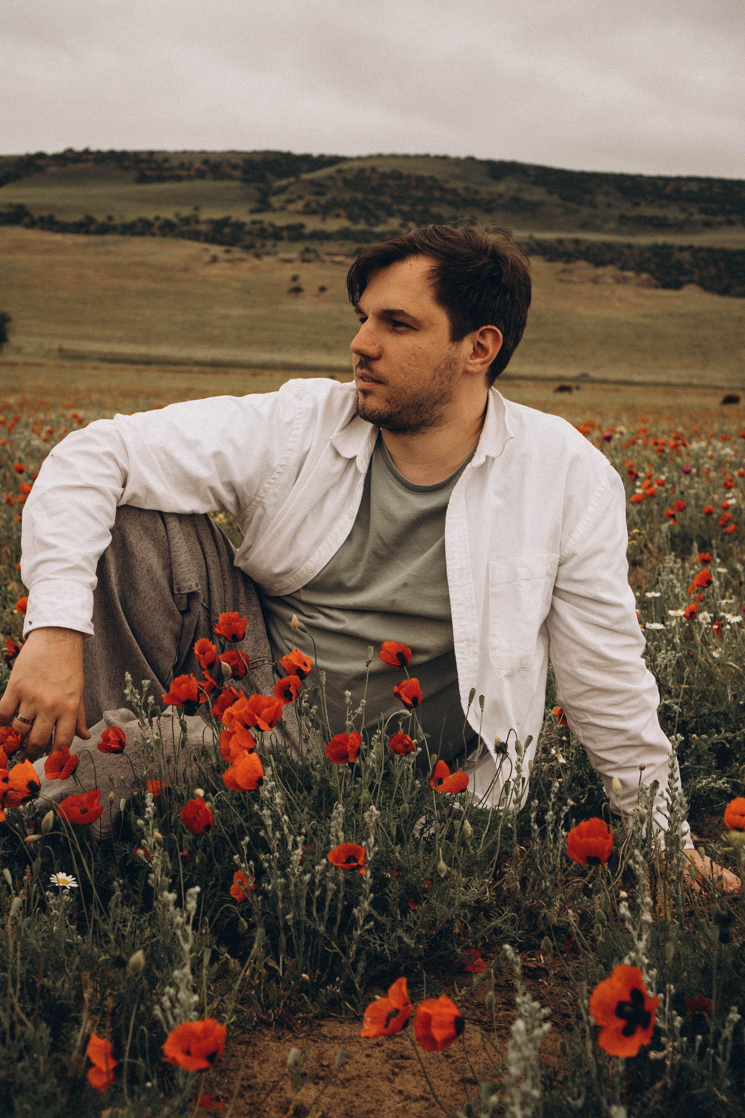 Маки. Профессиональный фотограф, Санкт-Петербург — Виктория Богомолова