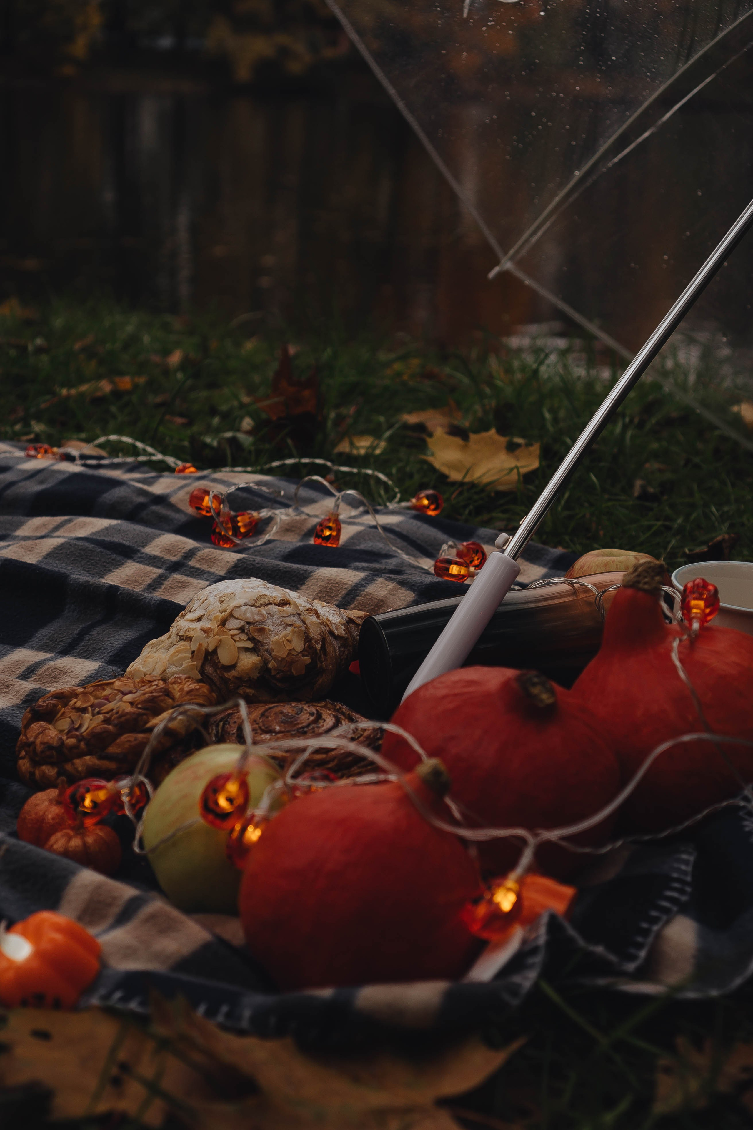 Осень. Профессиональный фотограф, Санкт-Петербург — Виктория Богомолова