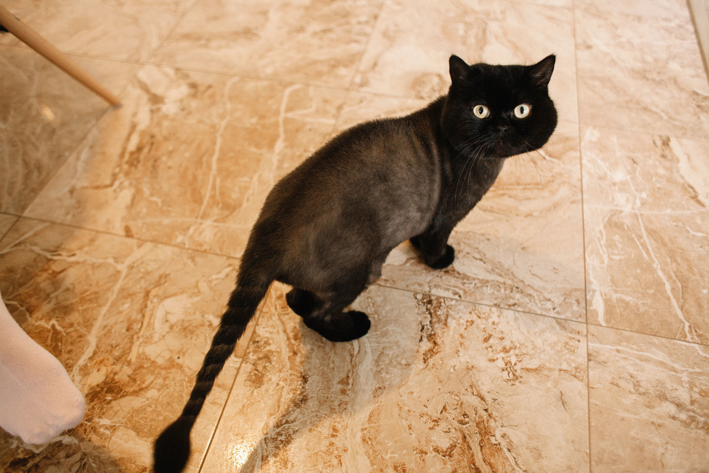 17 дней. Семейный и свадебный фотограф в Майкопе Михаил Мартиросян