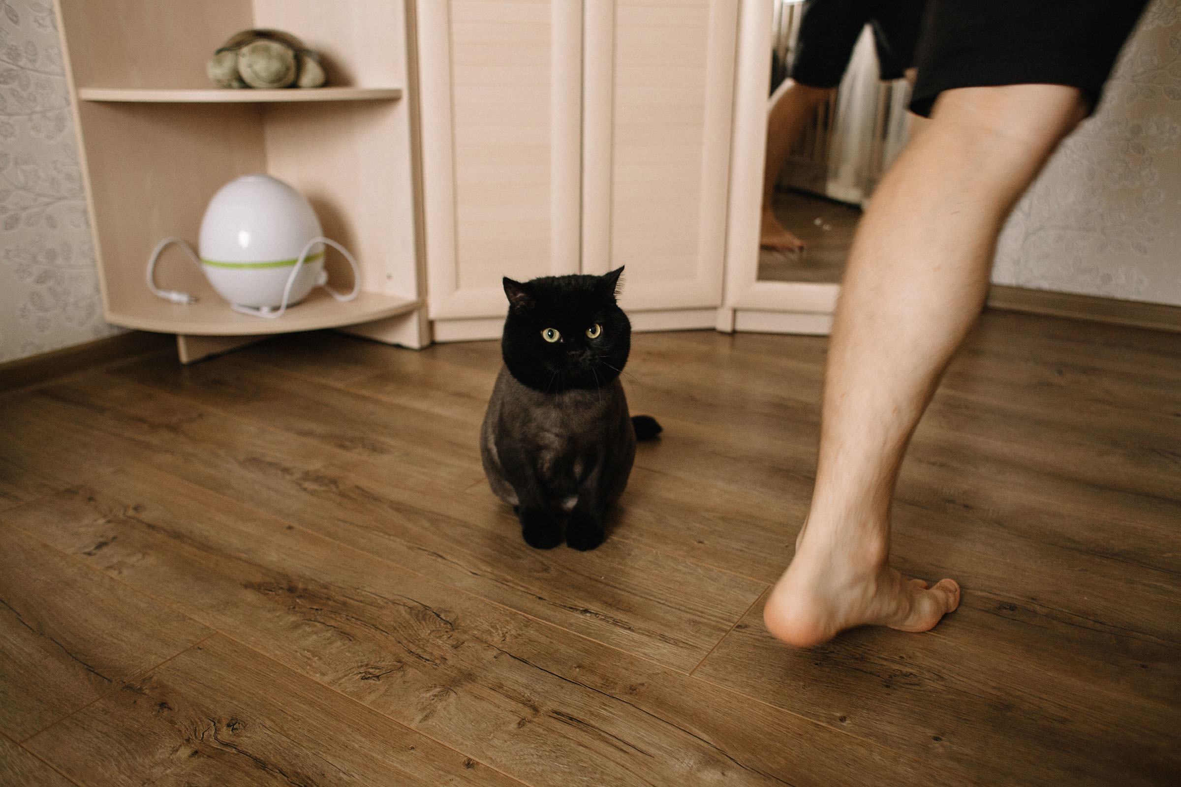 17 дней. Семейный и свадебный фотограф в Майкопе Михаил Мартиросян