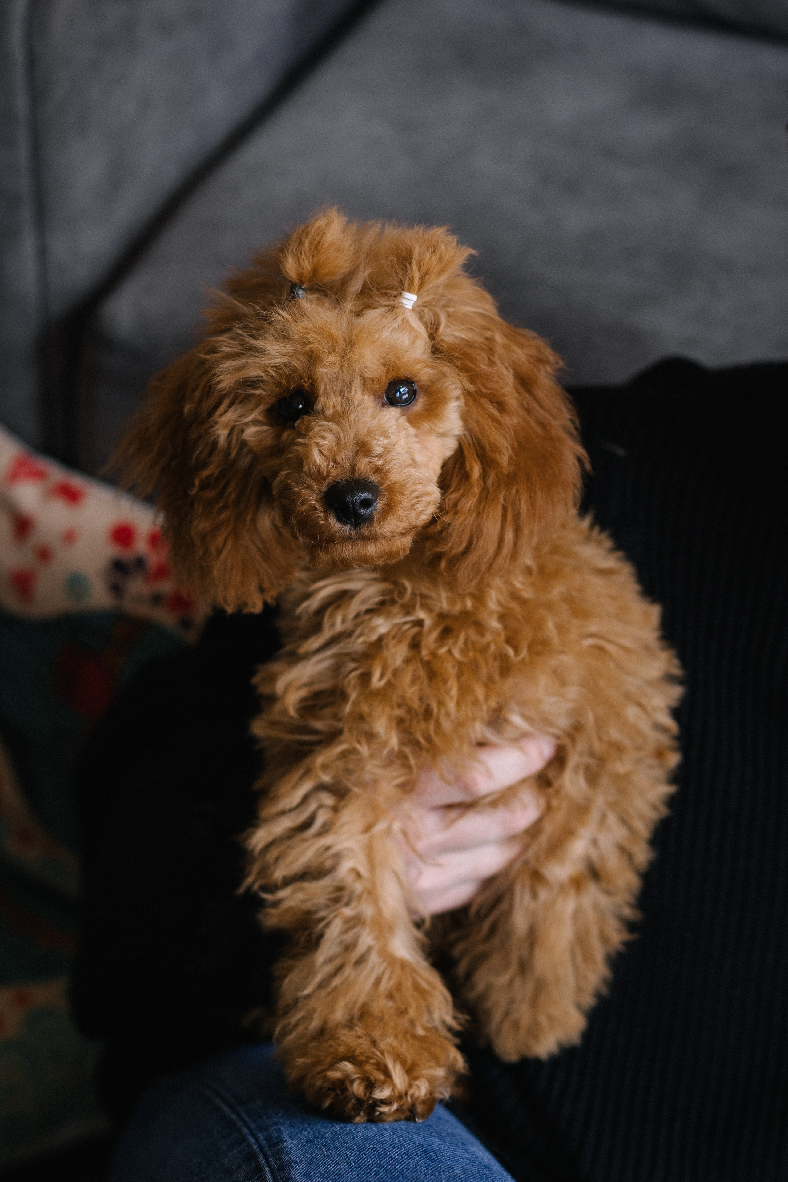 Stas&Vera. Свадебный фотограф в Ижевске Диля Ахмадишина