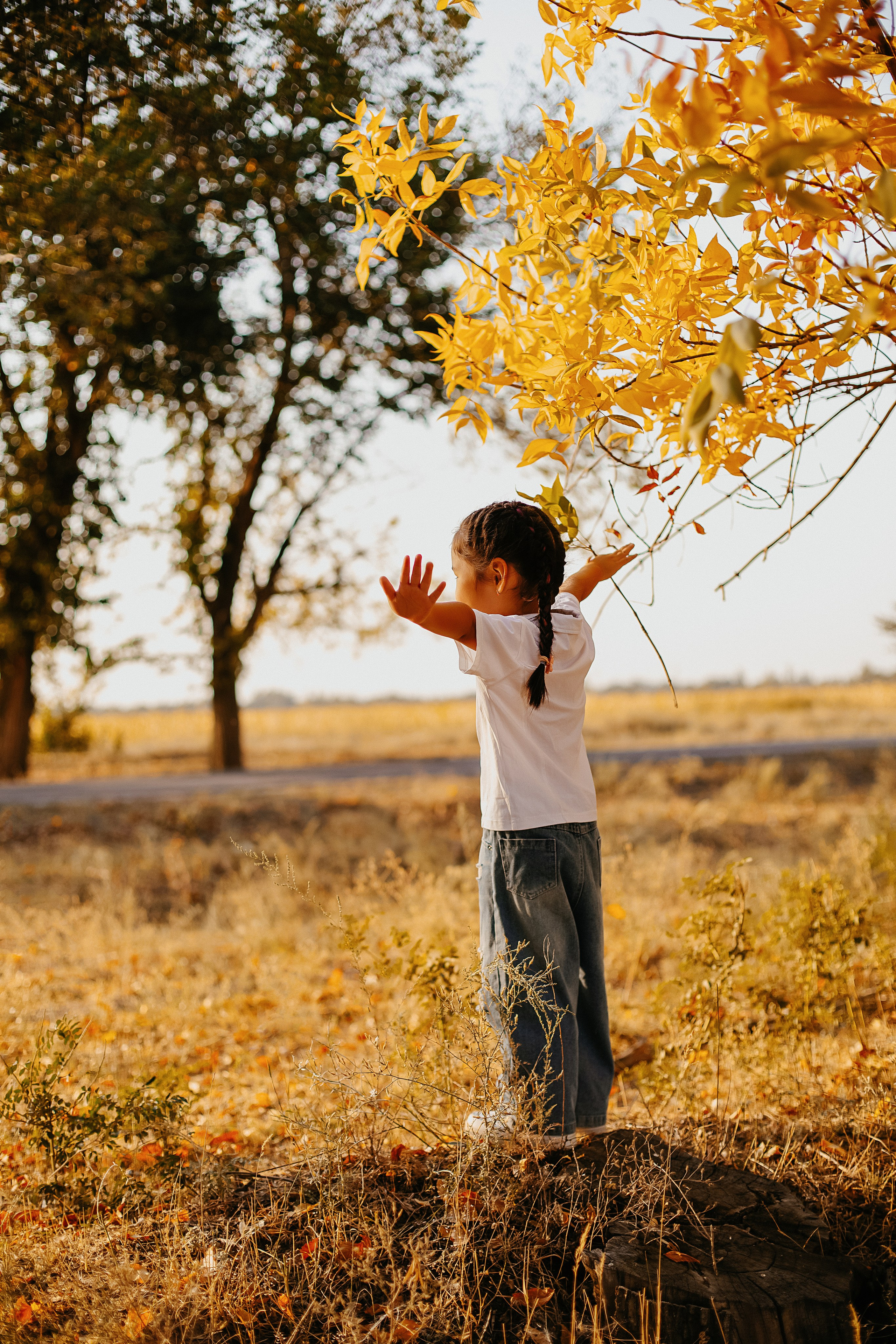 Семейная прогулка. Https://malovafoto.ru