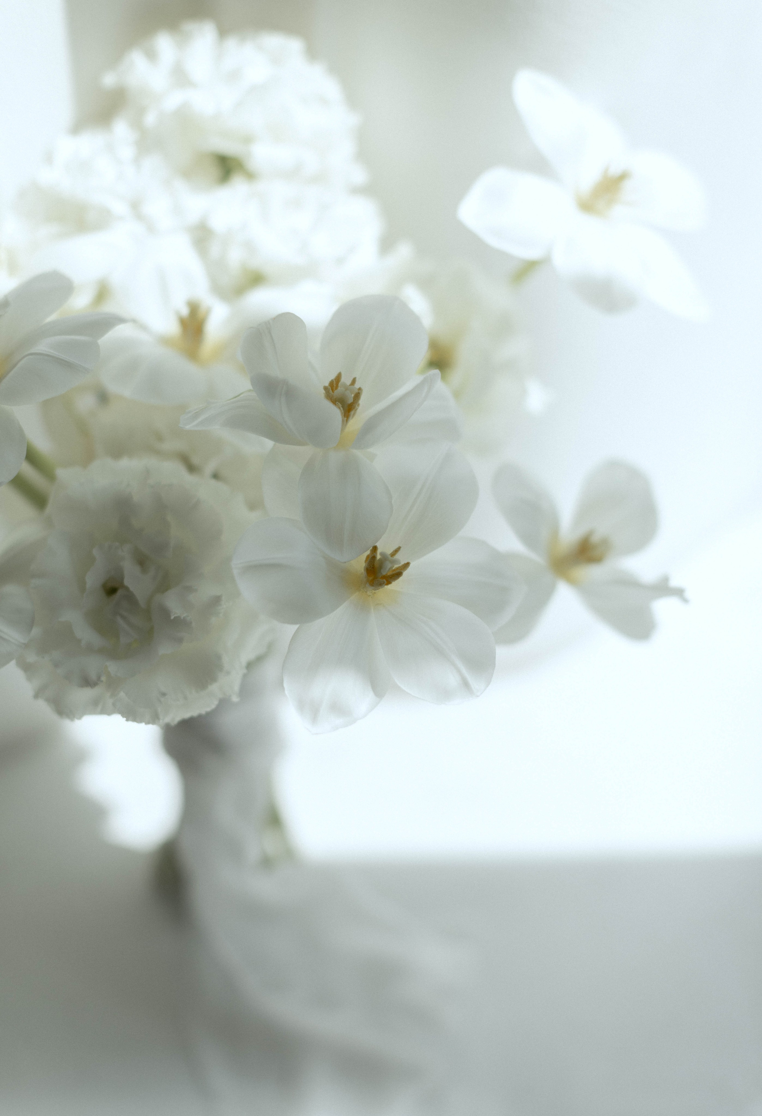 Карина | Денис (г. Пермь)