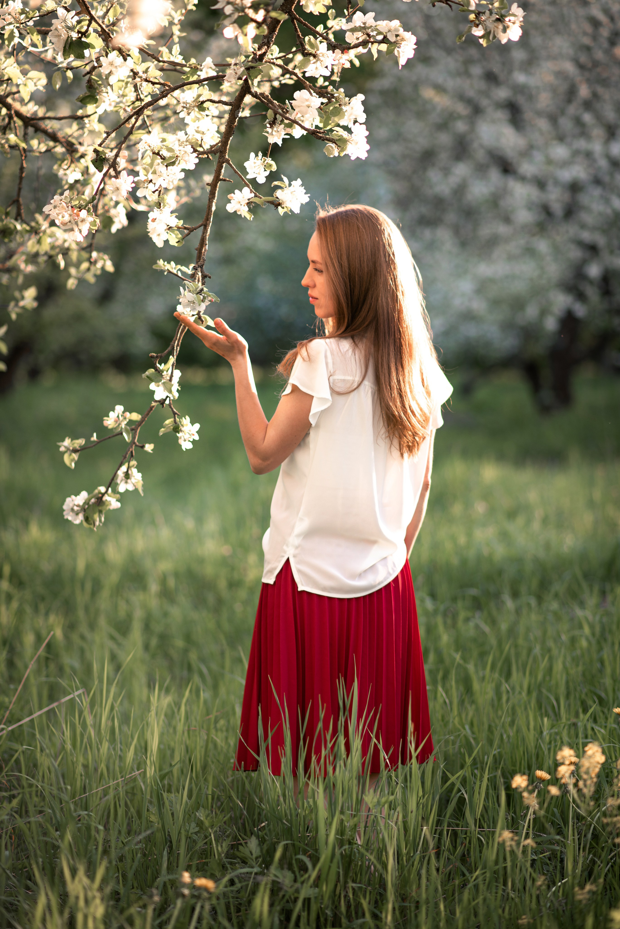 Семейная фотосессия в цветении. Ясная Поляна. Семейный и детский фотограф в Туле Светлана Воронкова