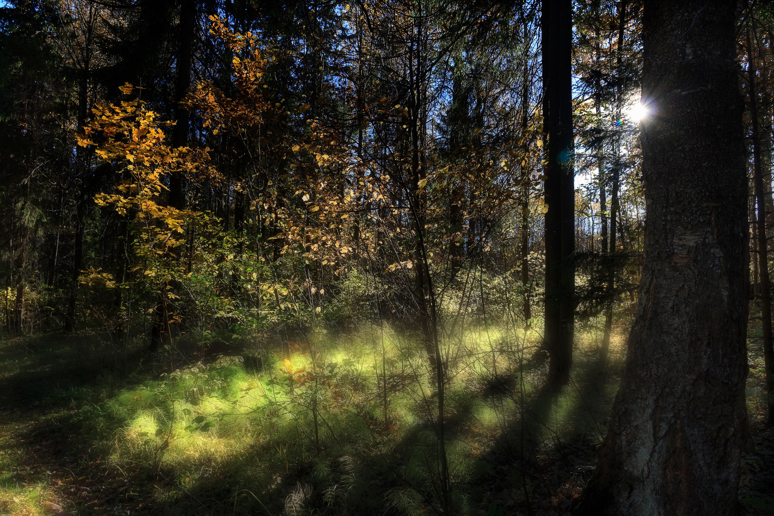 Древняя Русь. Семейный и детский фотограф