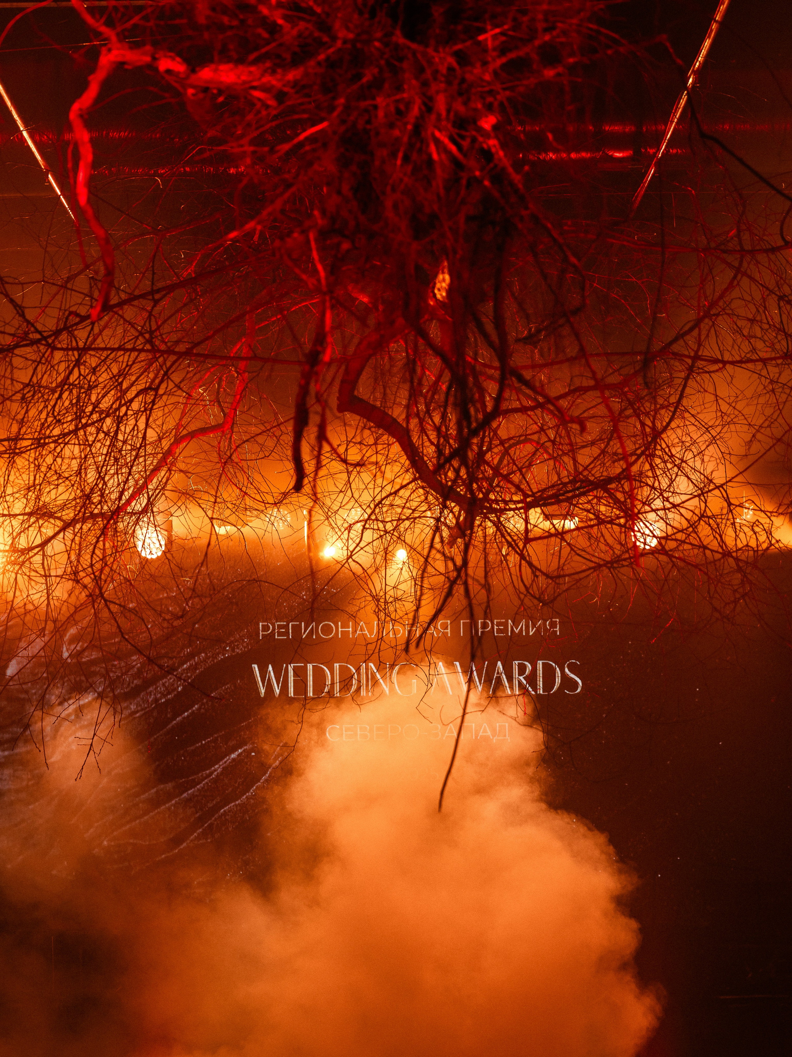Wedding Awards NW 2025. NesterovaMaria.ru
