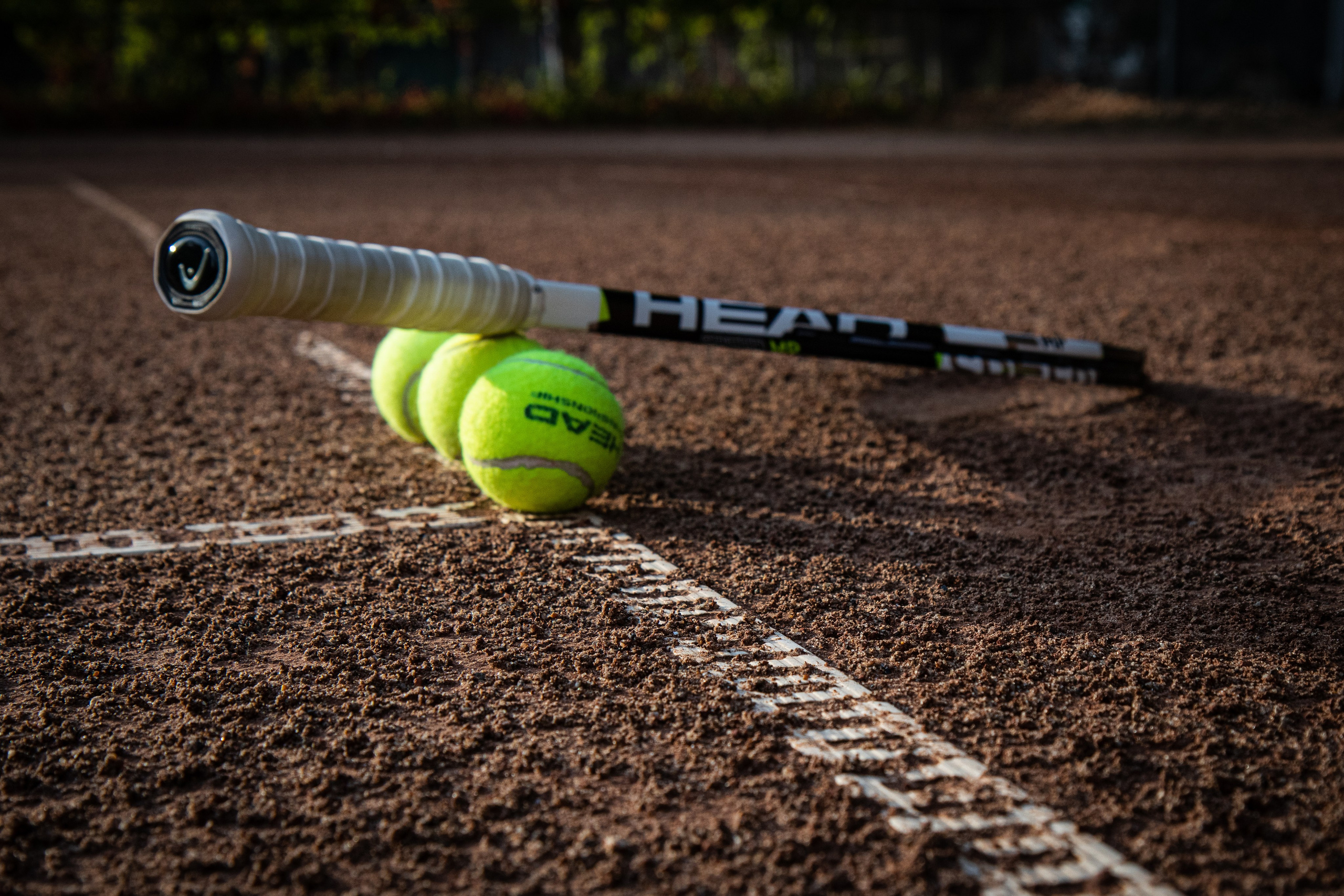 Тренер чемпионов. Главная